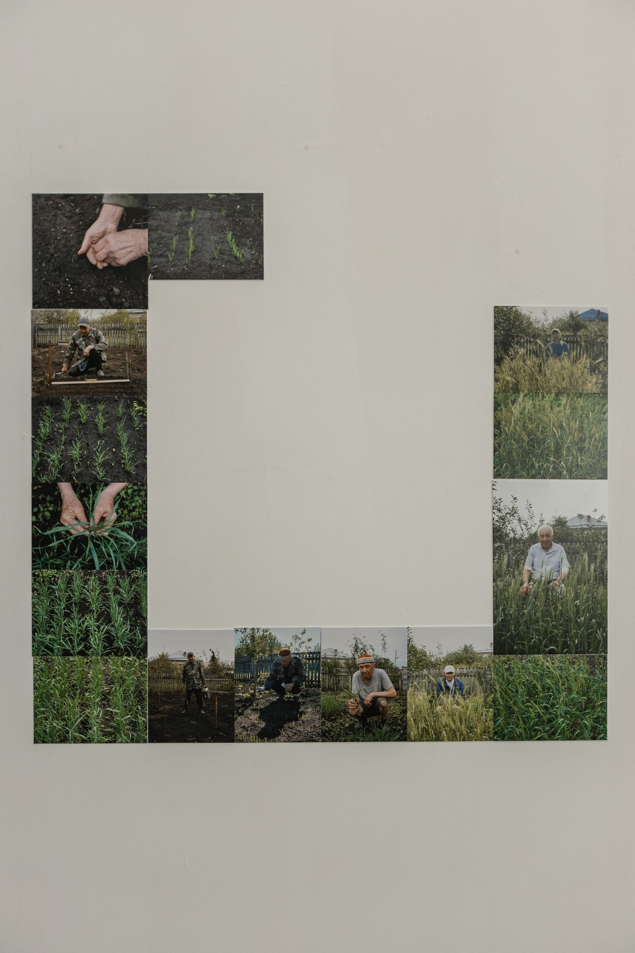 Полотно. Margarita Khatmullina