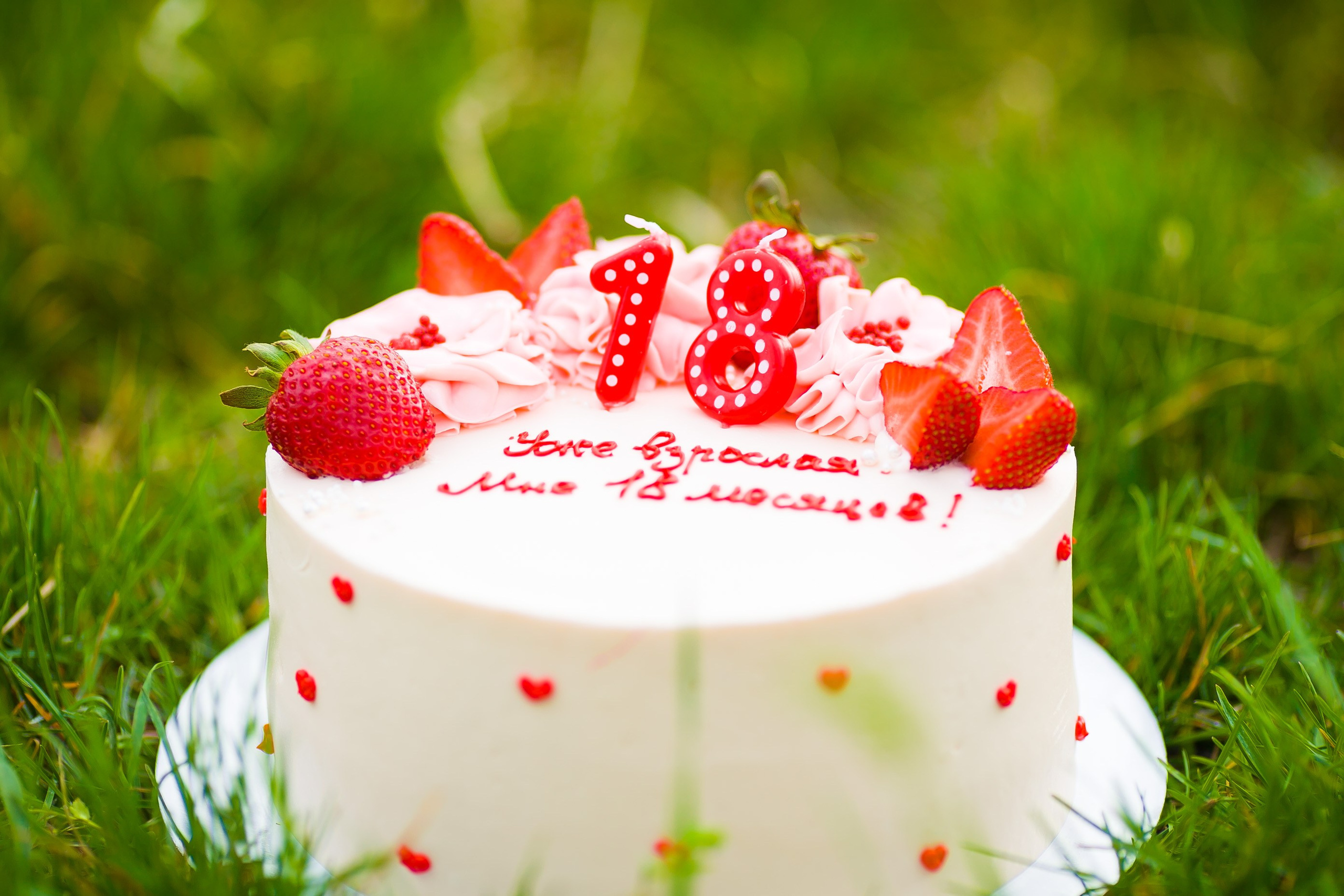 Парк. Дизайн интерьера Керчь, дизайнер интерьера Еремина Мария Керчь, Симфер