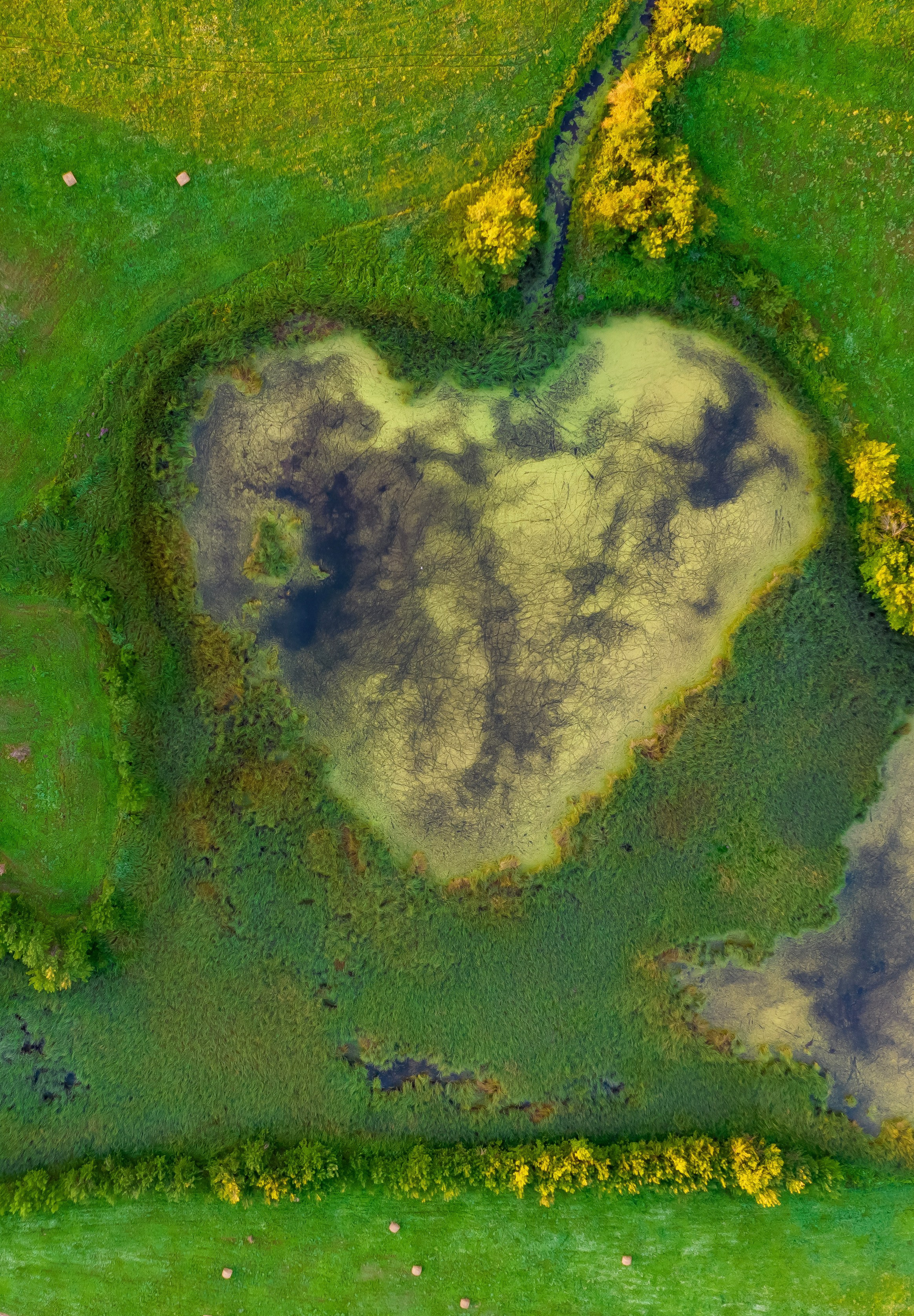 Природа. Макс По — фото и видео съемки любого формата