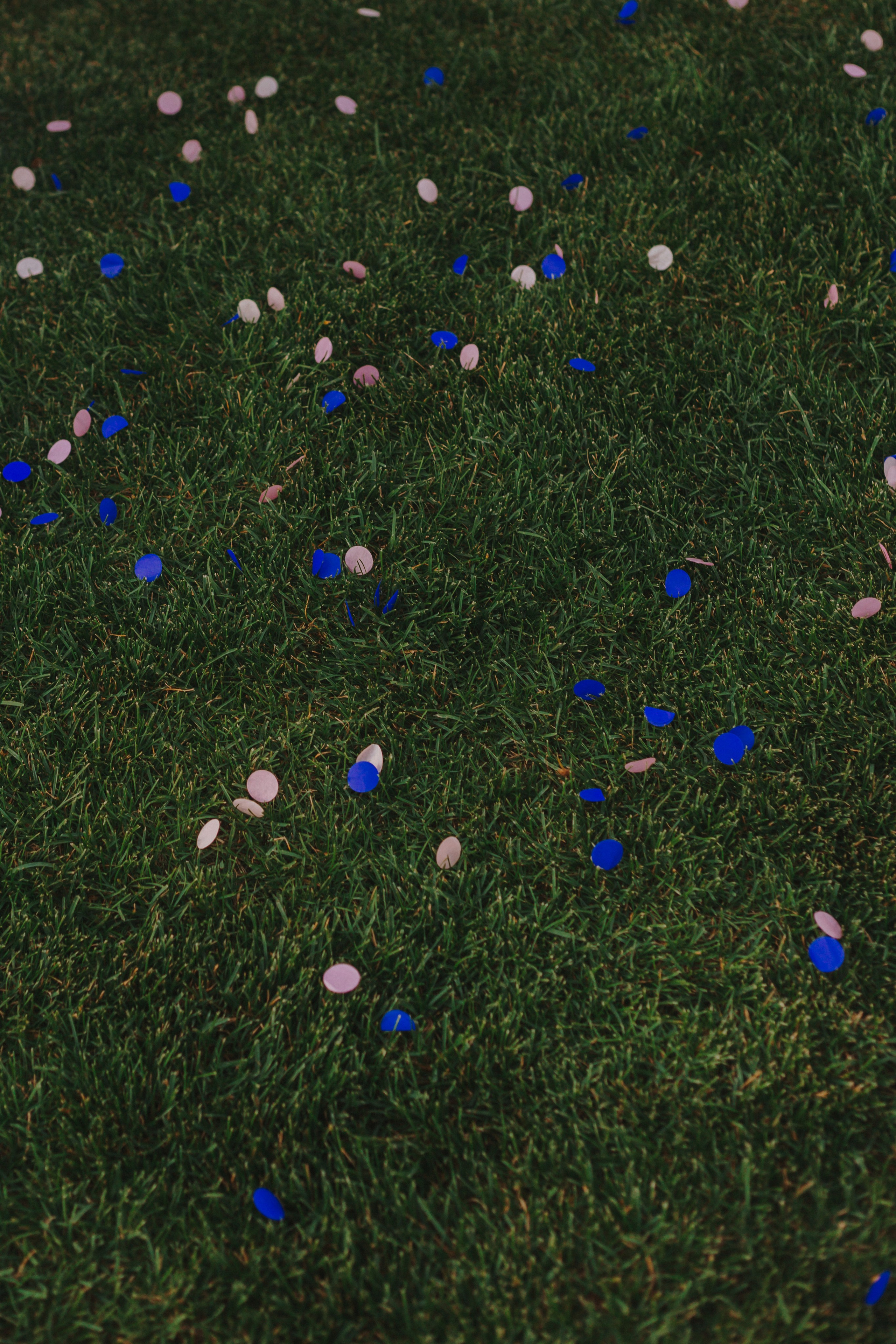 Гендер-пати. Свадебный и семейный фотограф г. Волгоград Биленко Ангелина