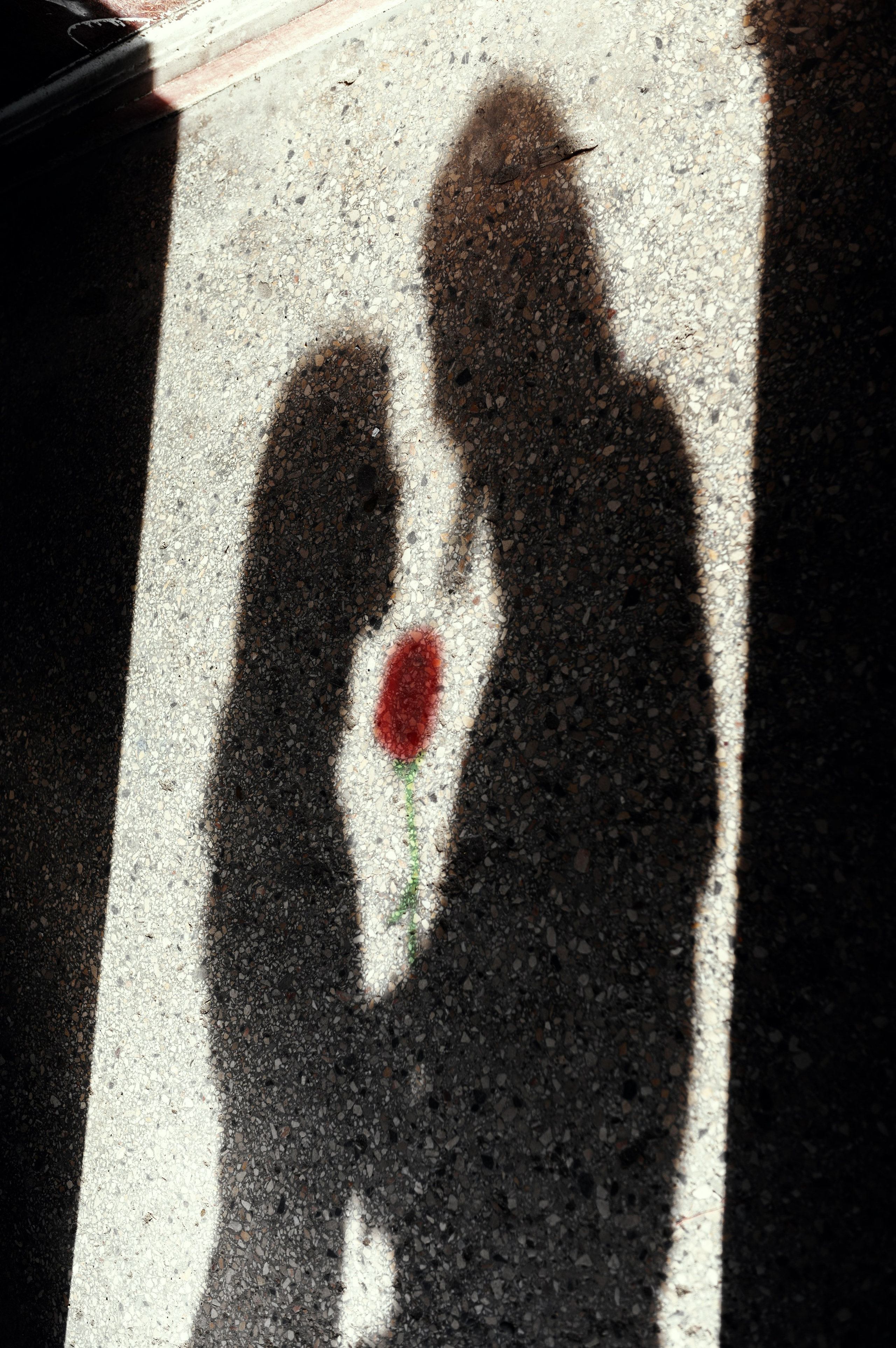 История для двоих. Профессиональная фотосессия в Краснодаре | Фотограф Денис Труфанов