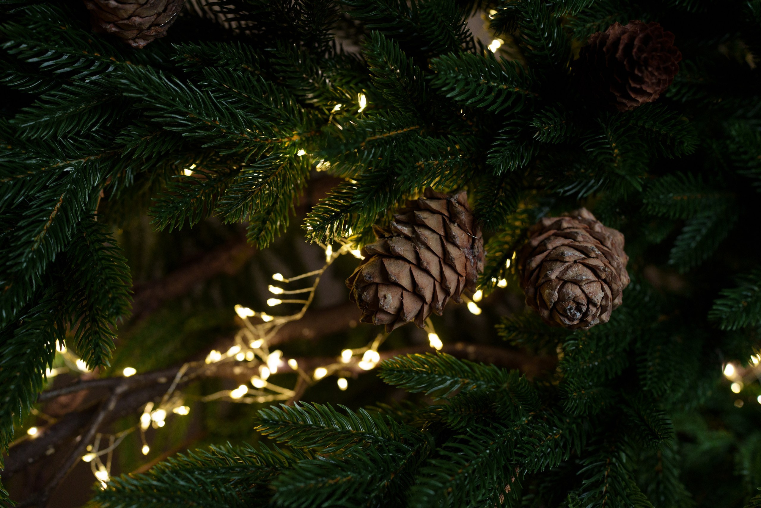 Зал Семейный