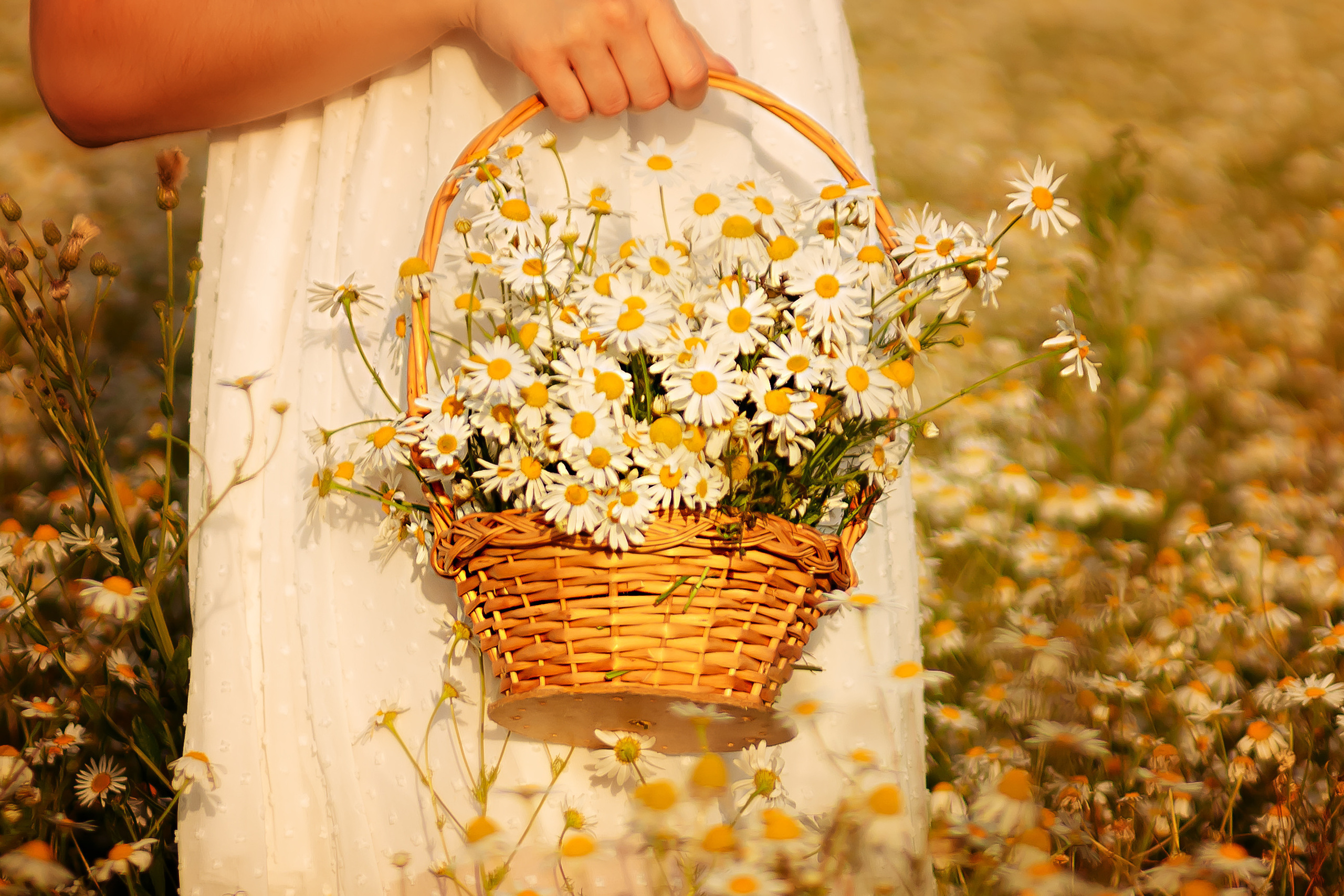 Важная информация. Съемка Таинств Крещения Венчания, детские и семейные съемки в Пензе