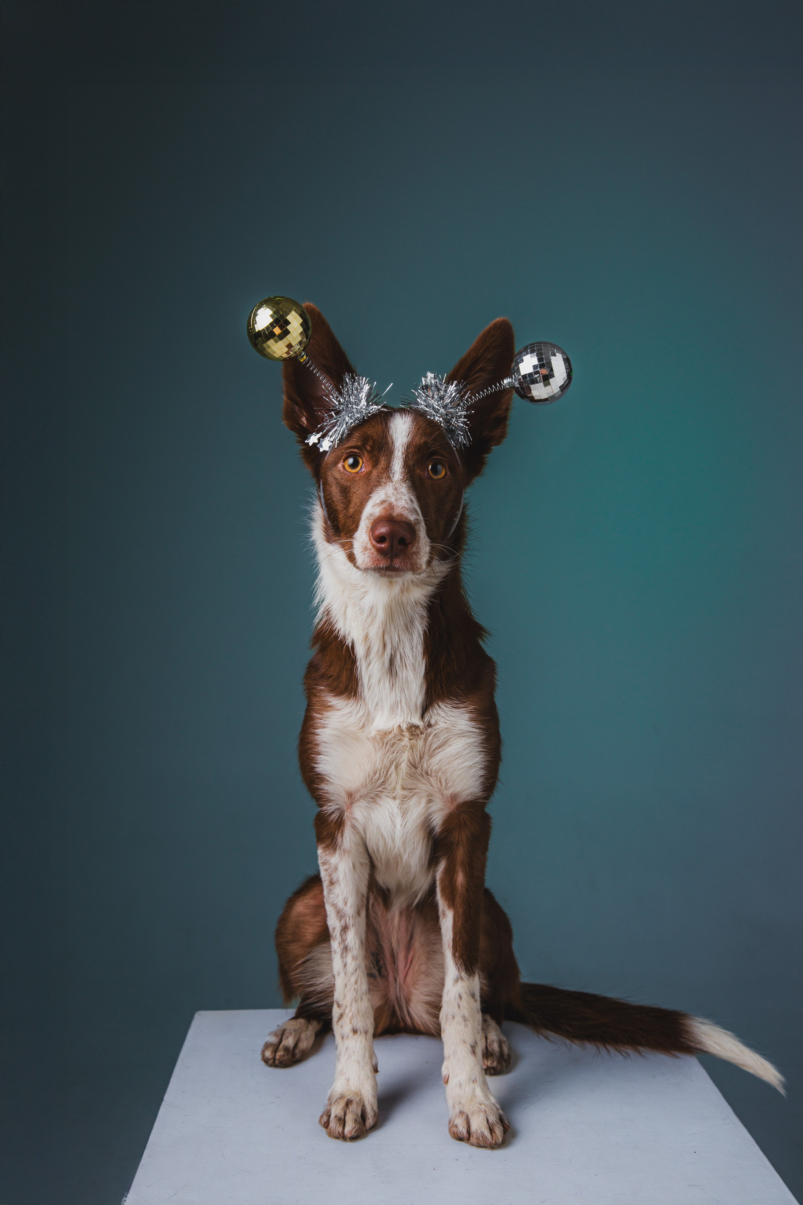 Воркшоп по импульсному свету