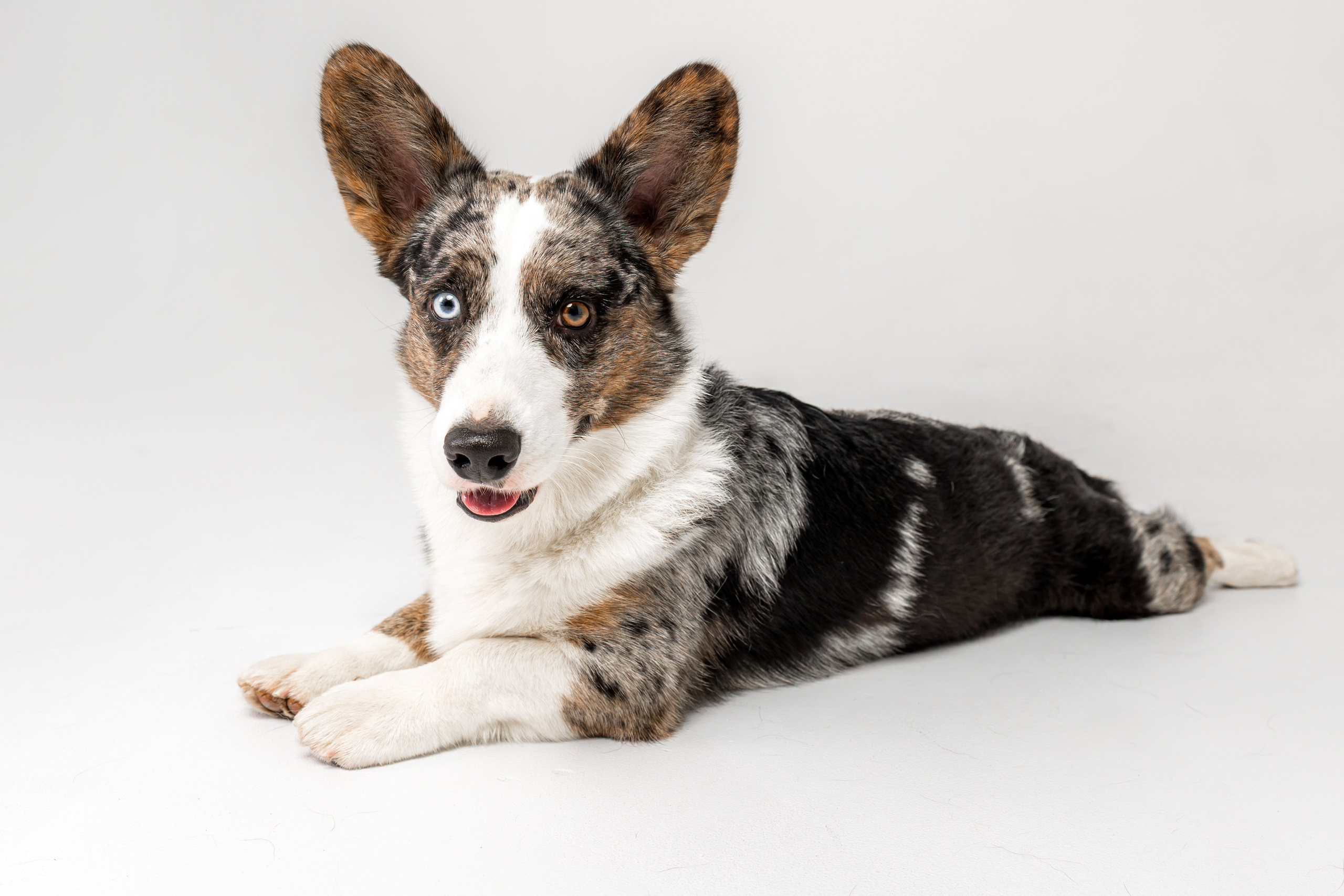 Анатолий и Рагнар