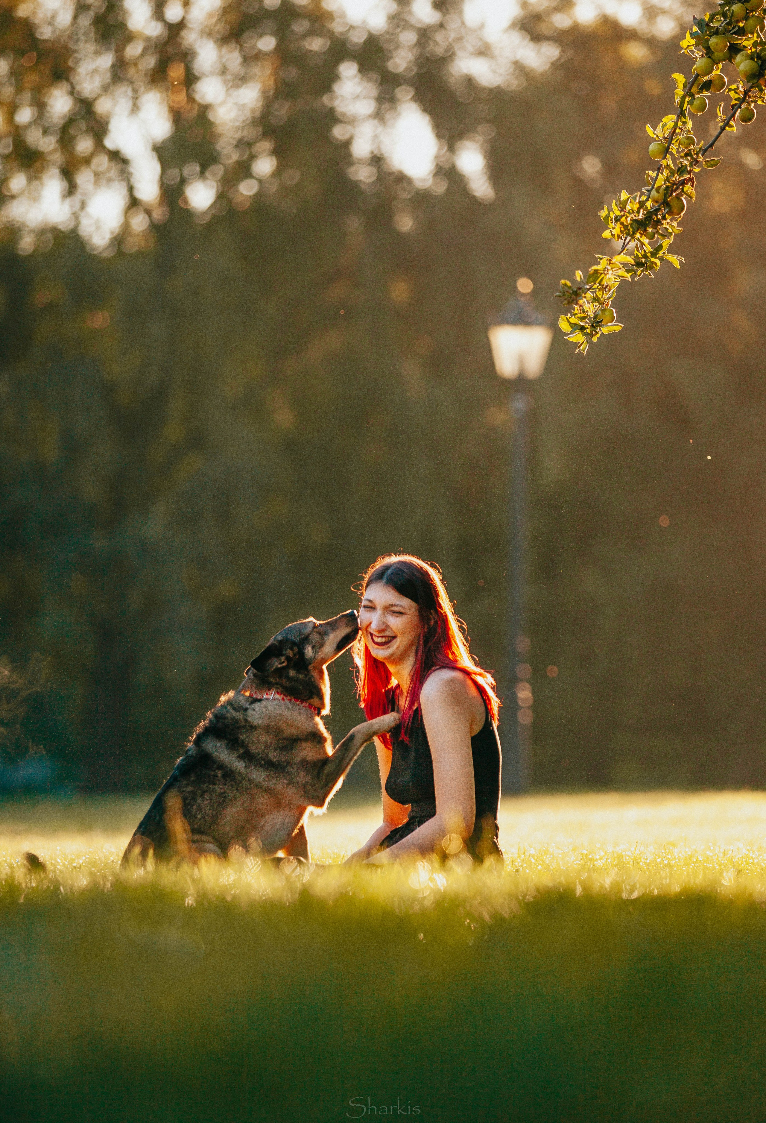 Вега и Гриша. Главная