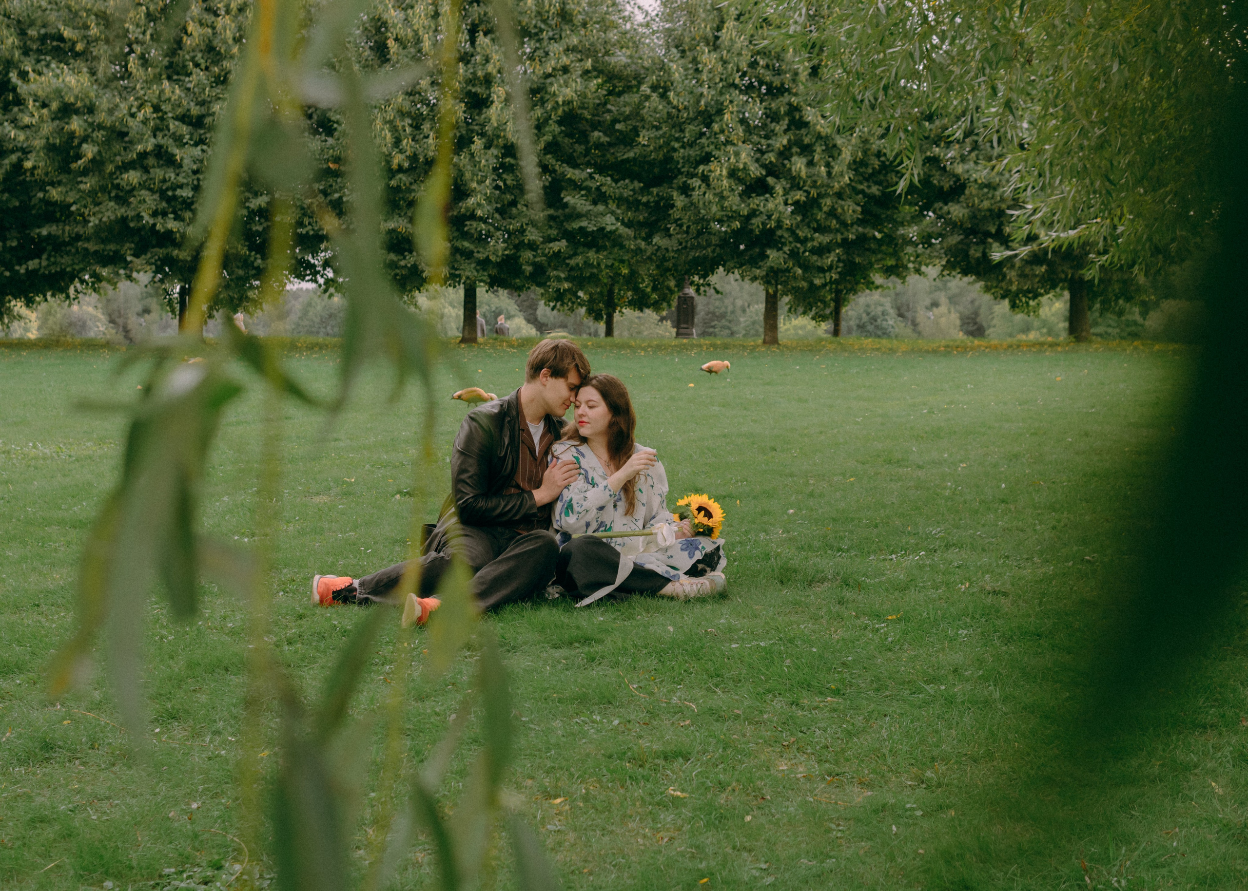 Свадебная лавстори Димы и Милены. Фотограф-анималист Ксения Воробьева, Москва