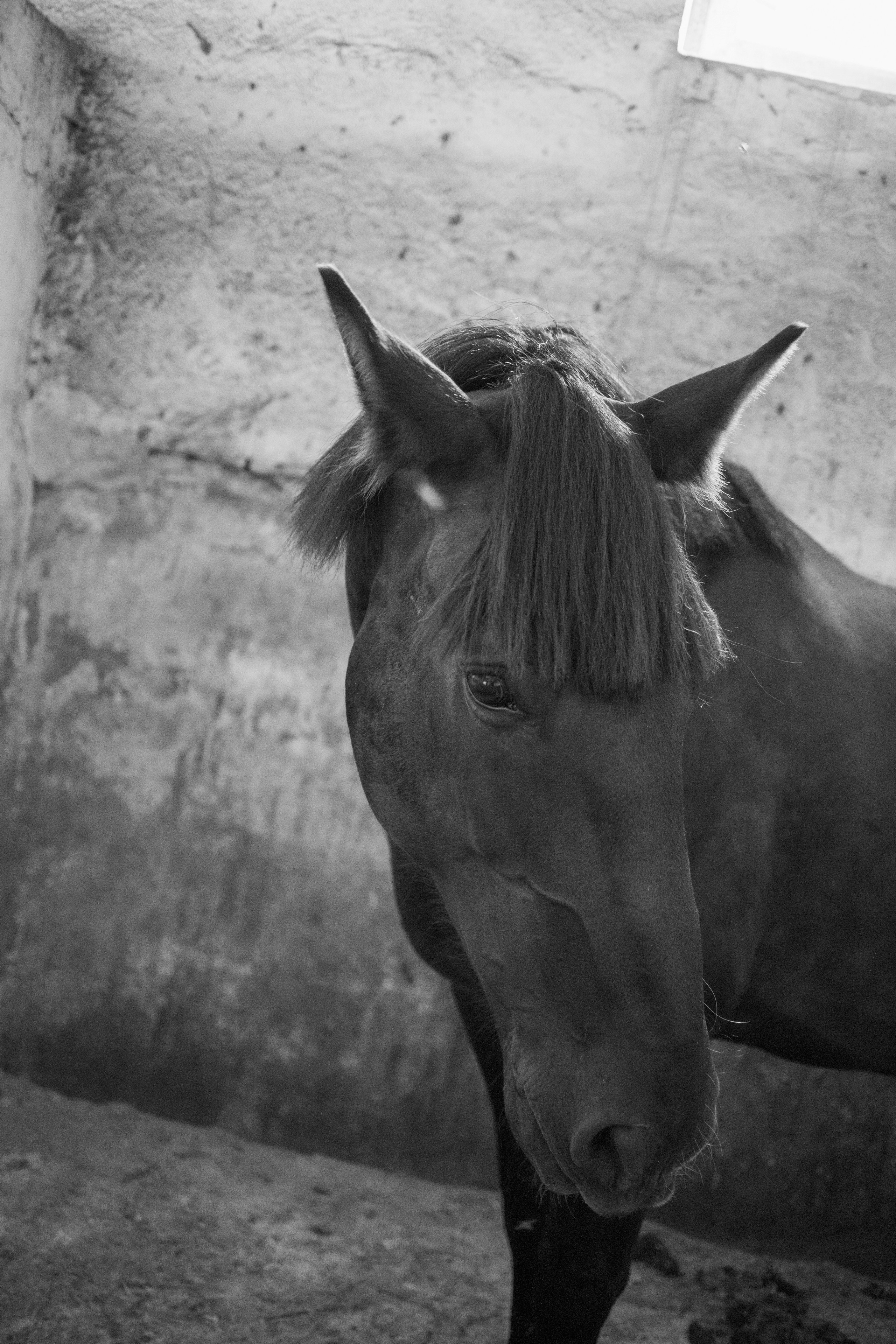 FEAR. Photographer Manakova Olga