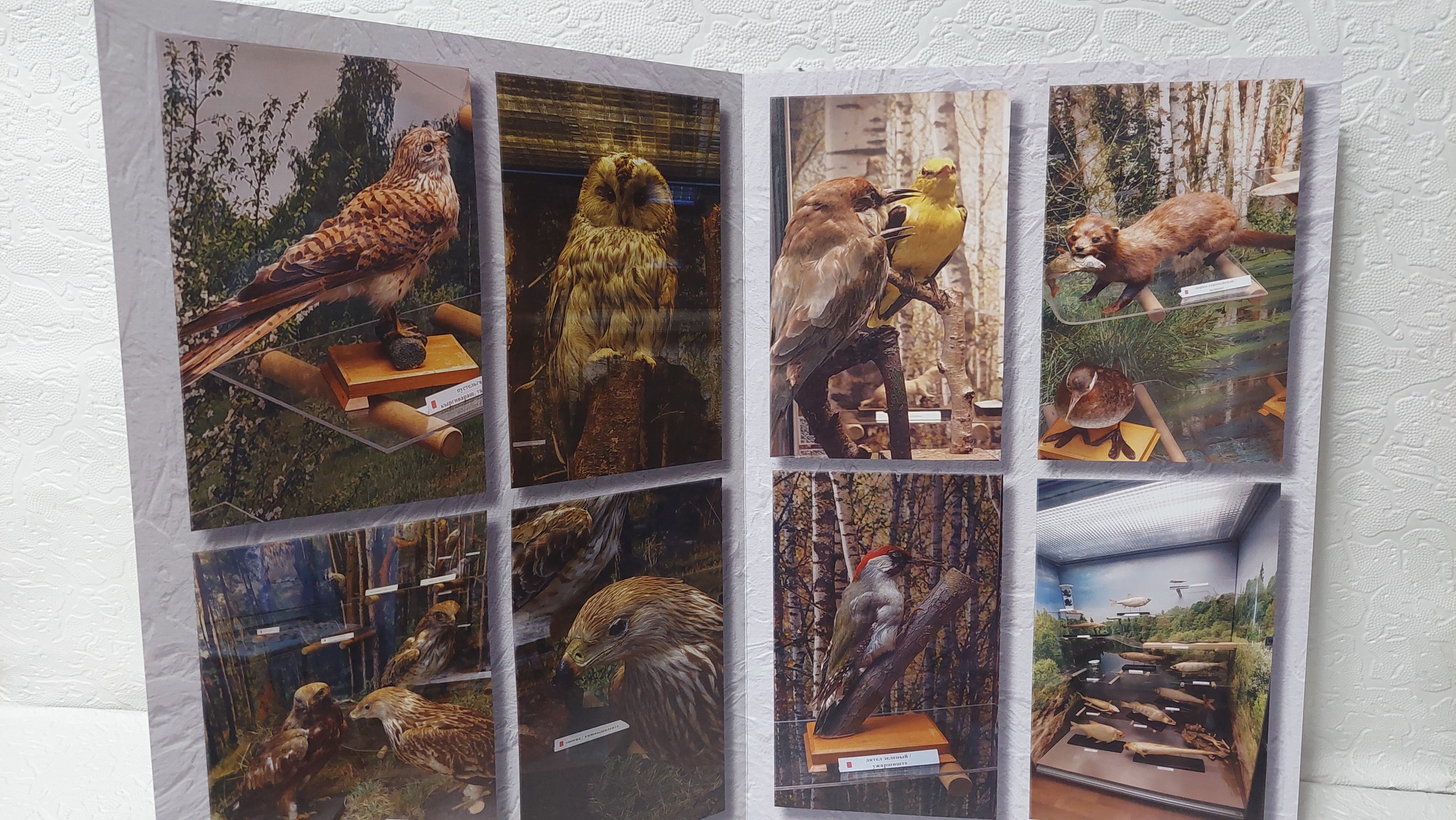 Йошкар-Ола, часть 2. Fotounata.ru