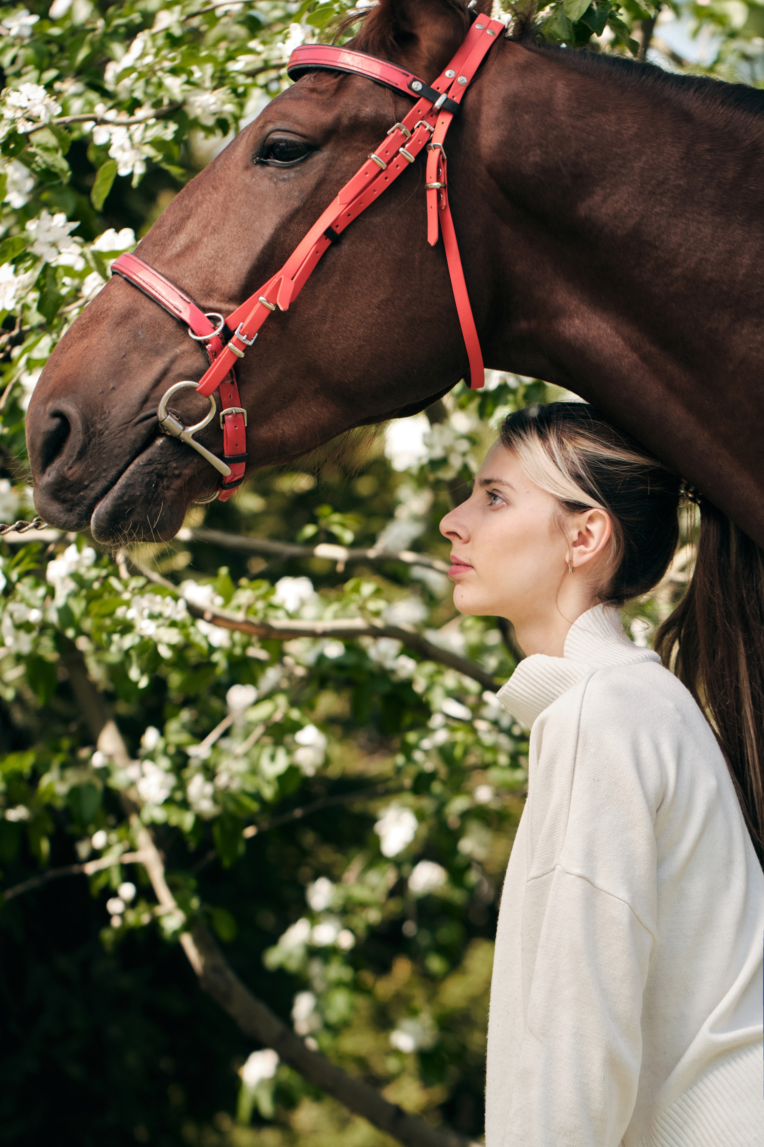 Полина и лошадь. Фотограф в Москве — Галунина Кристина