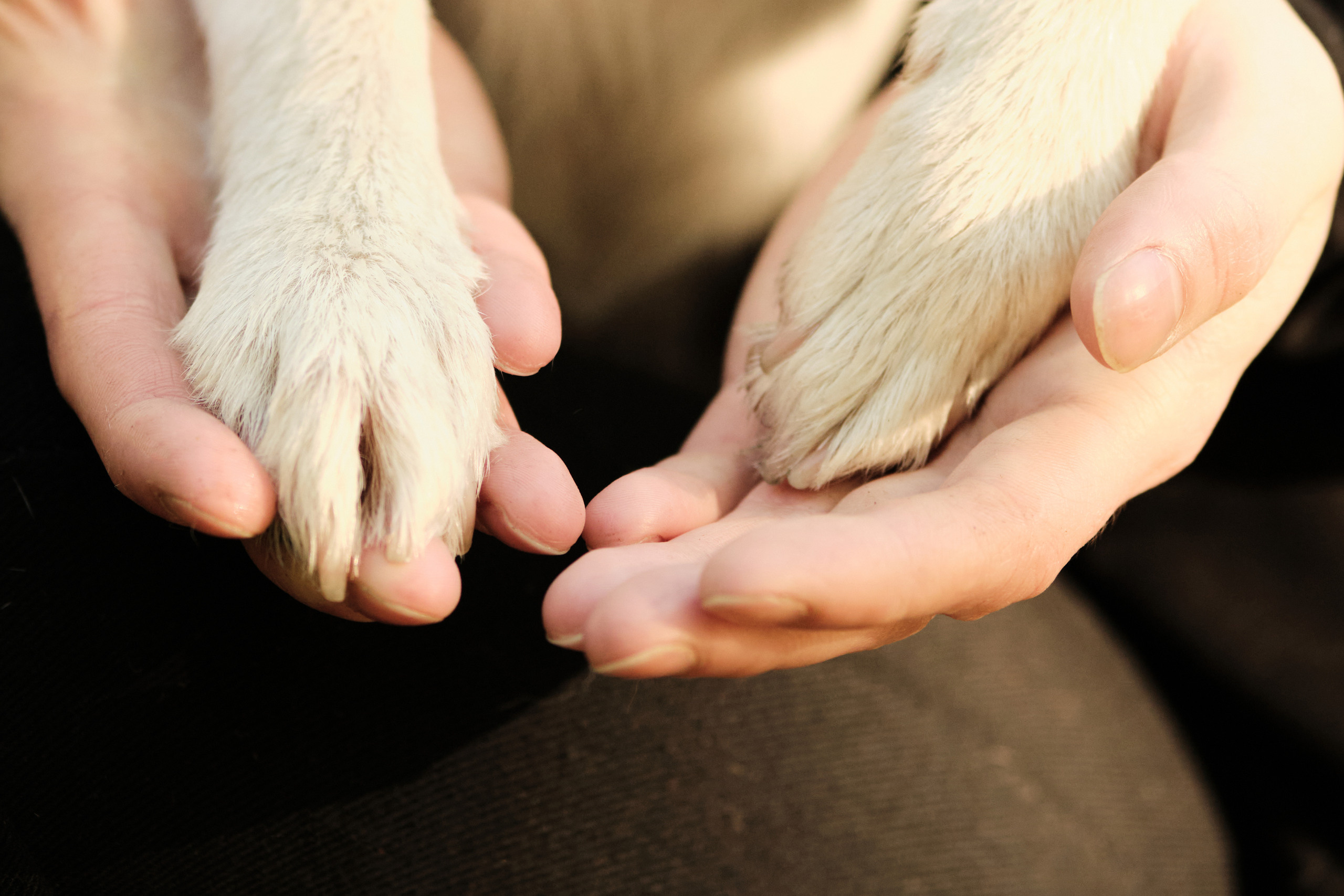 Александр и Дори. Фотограф в Москве — Галунина Кристина