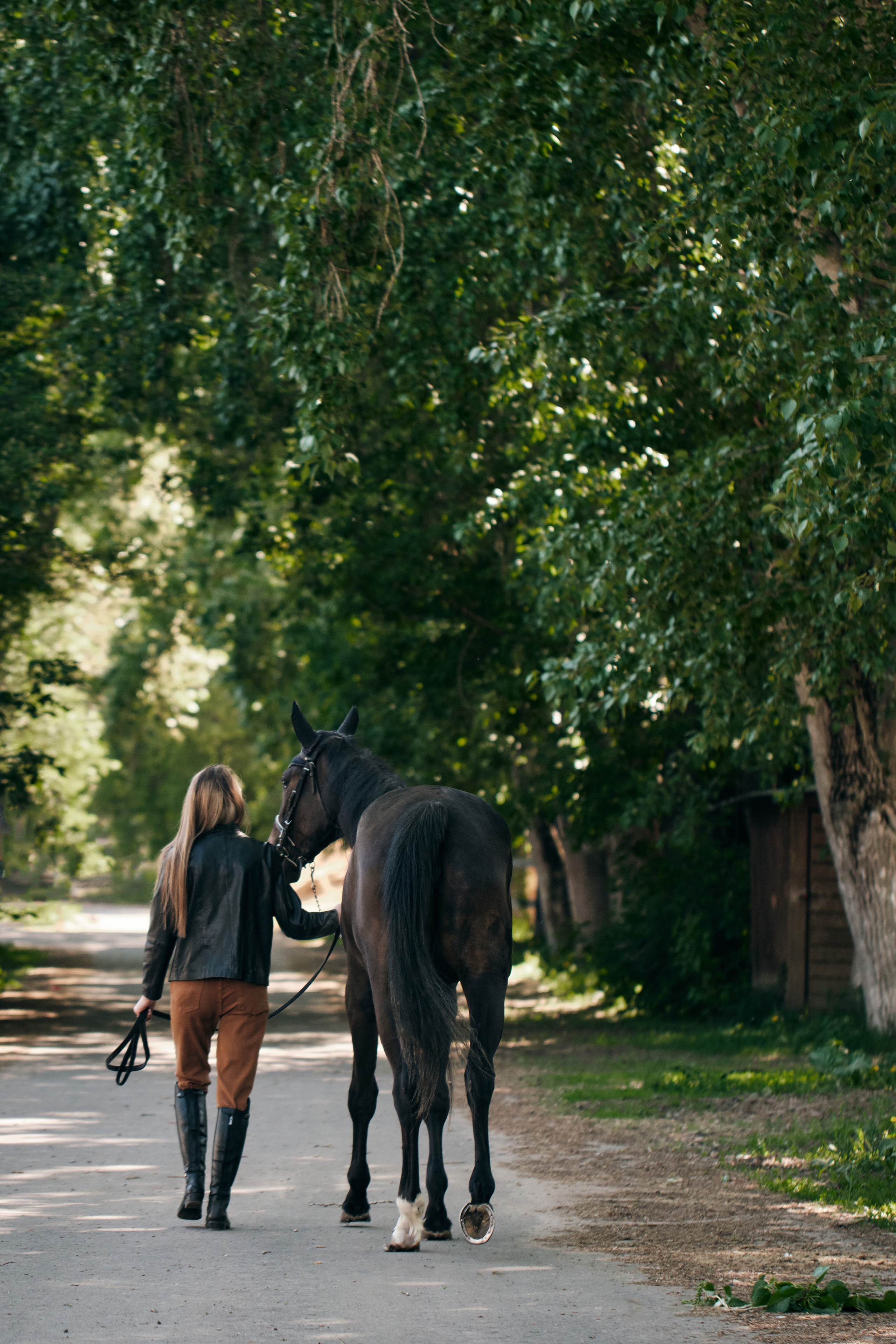 Полина и лошадь. Фотограф в Москве — Галунина Кристина