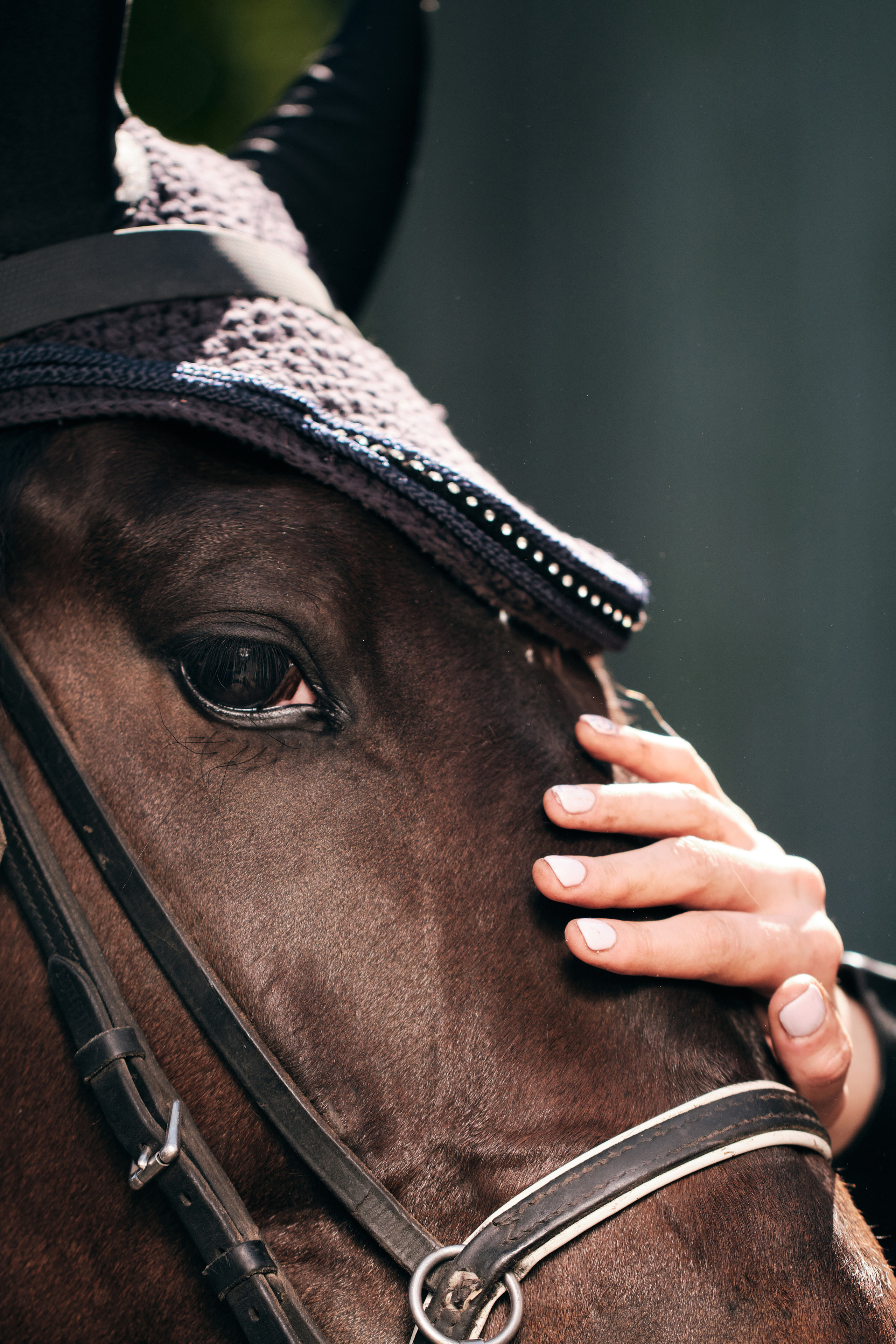 Полина и лошадь. Фотограф в Москве — Галунина Кристина