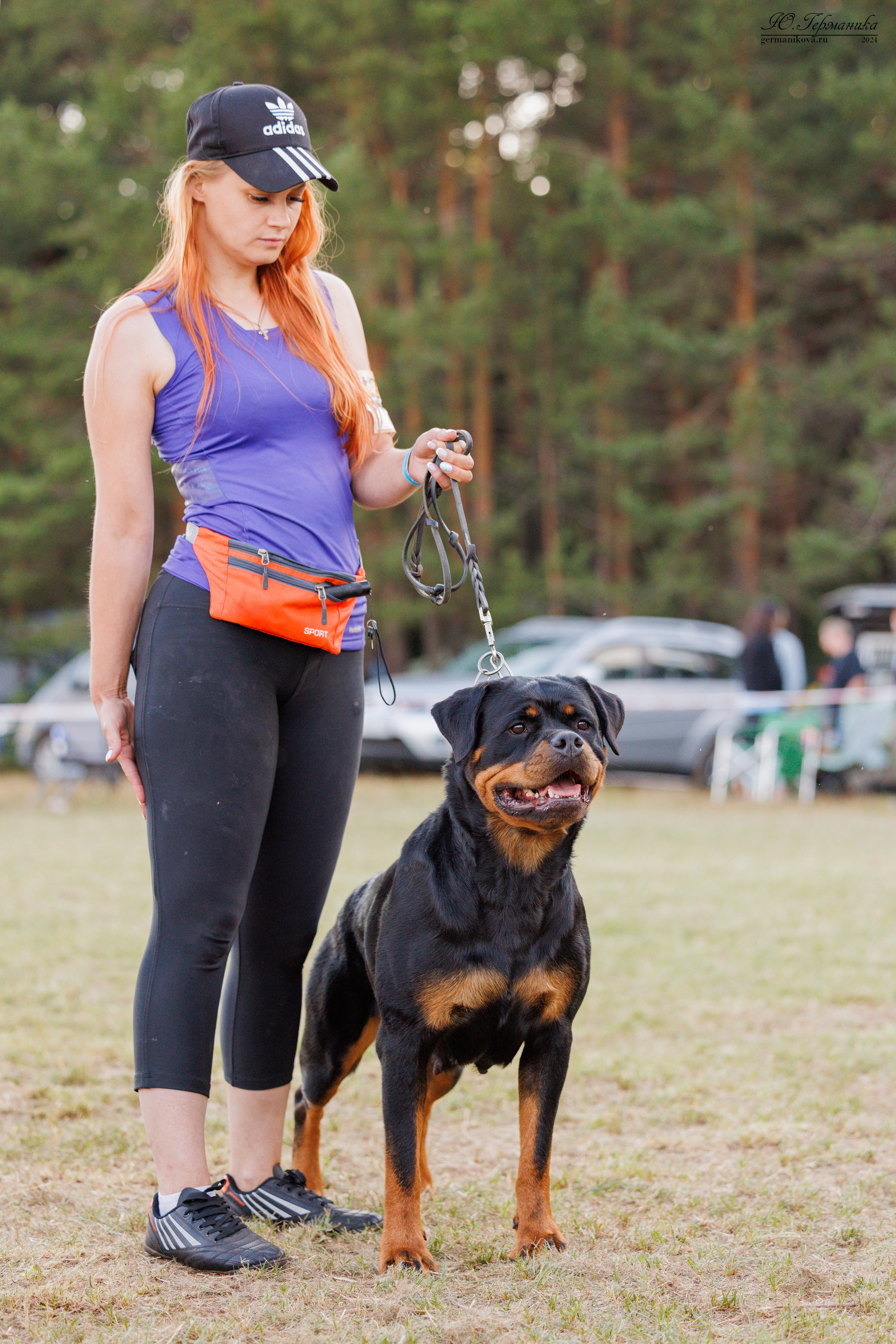 ПК и КЧК ротвейлеры Тверь 6-7.07.2024. Фотограф-анималист Юлия Германика