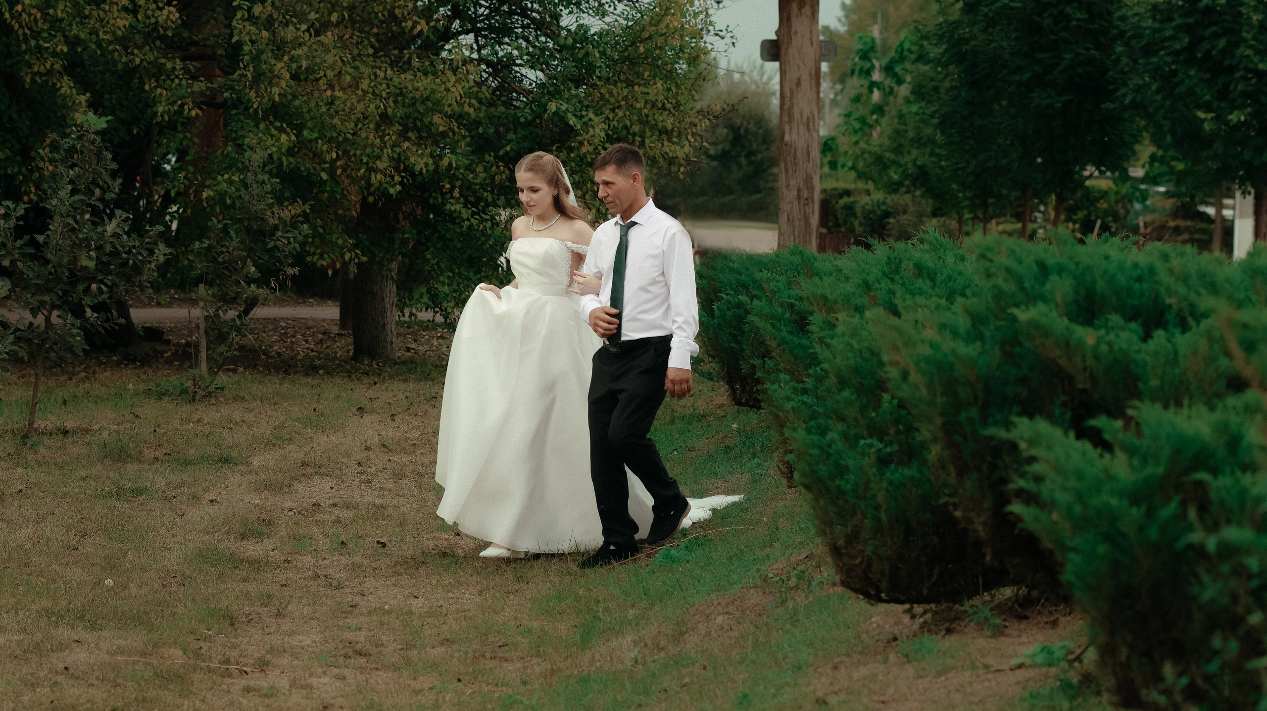 Торжество в Алексеевке. Свадебный и репортажный фотограф Дмитрий Кононенко