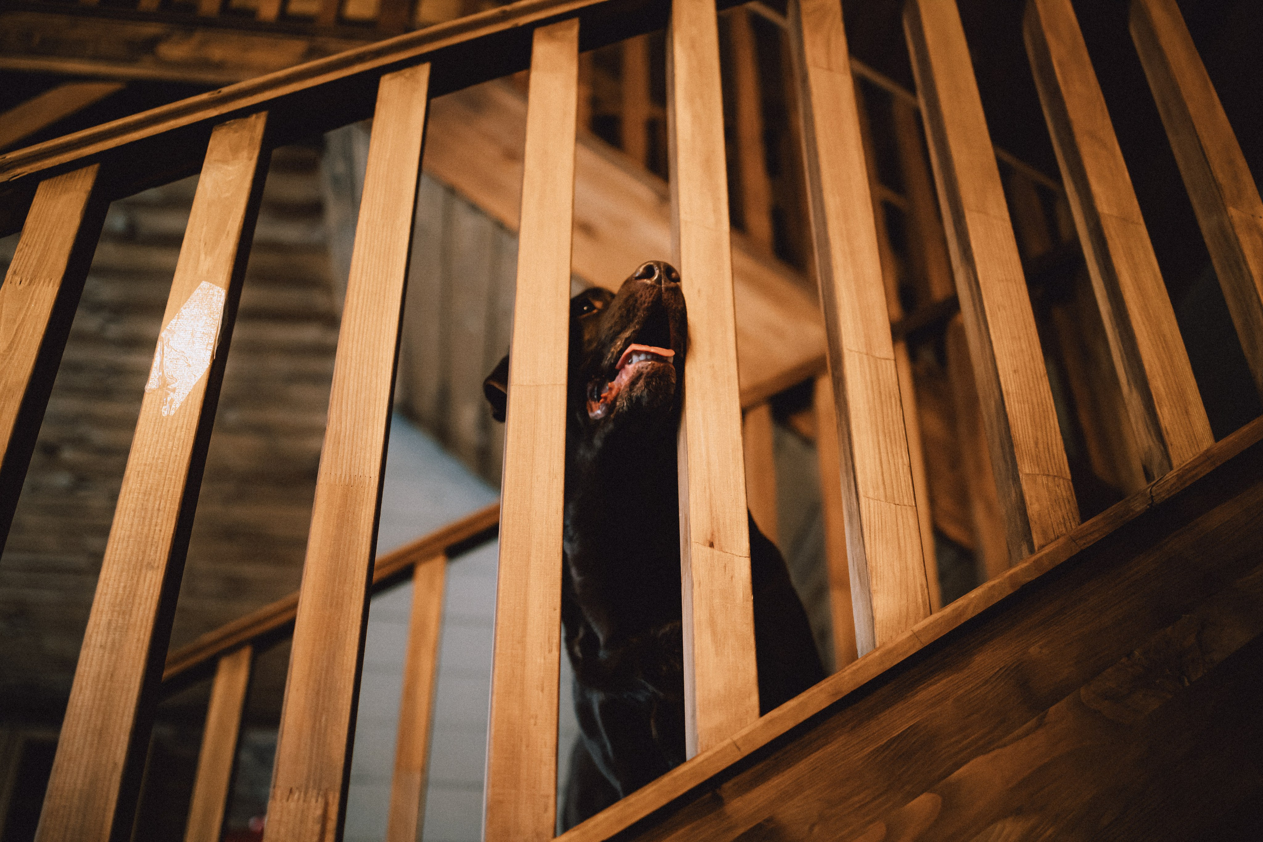 Ума, Берта и их семья