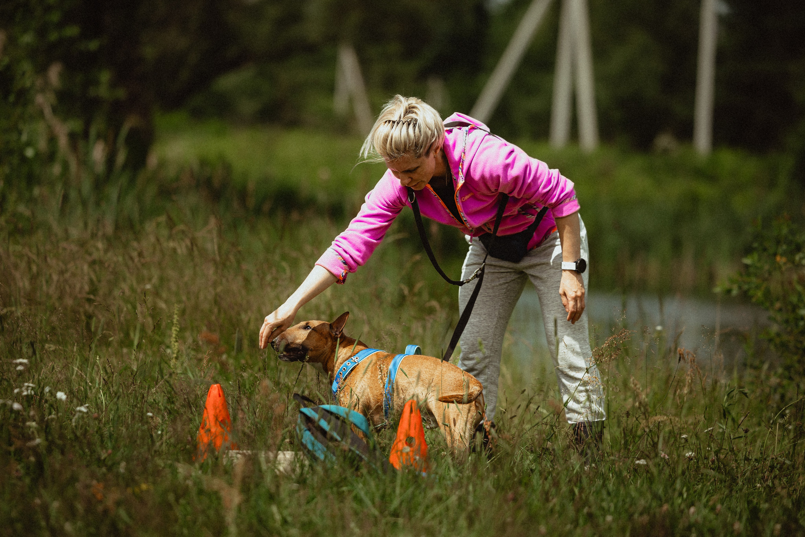 Выездной дог-тренинг от школы «Шерсть имею»