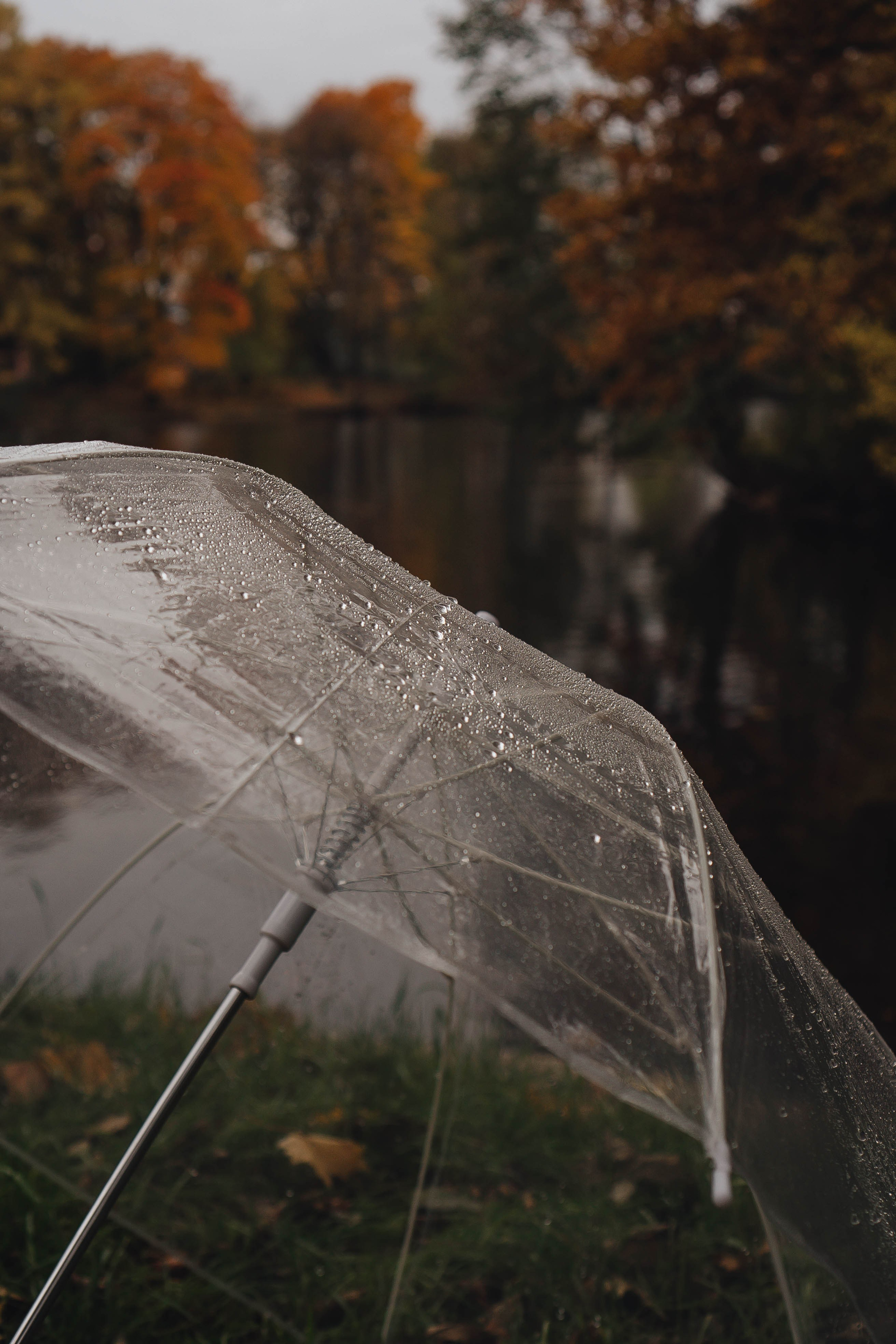 Осень. Профессиональный фотограф, Санкт-Петербург — Виктория Богомолова