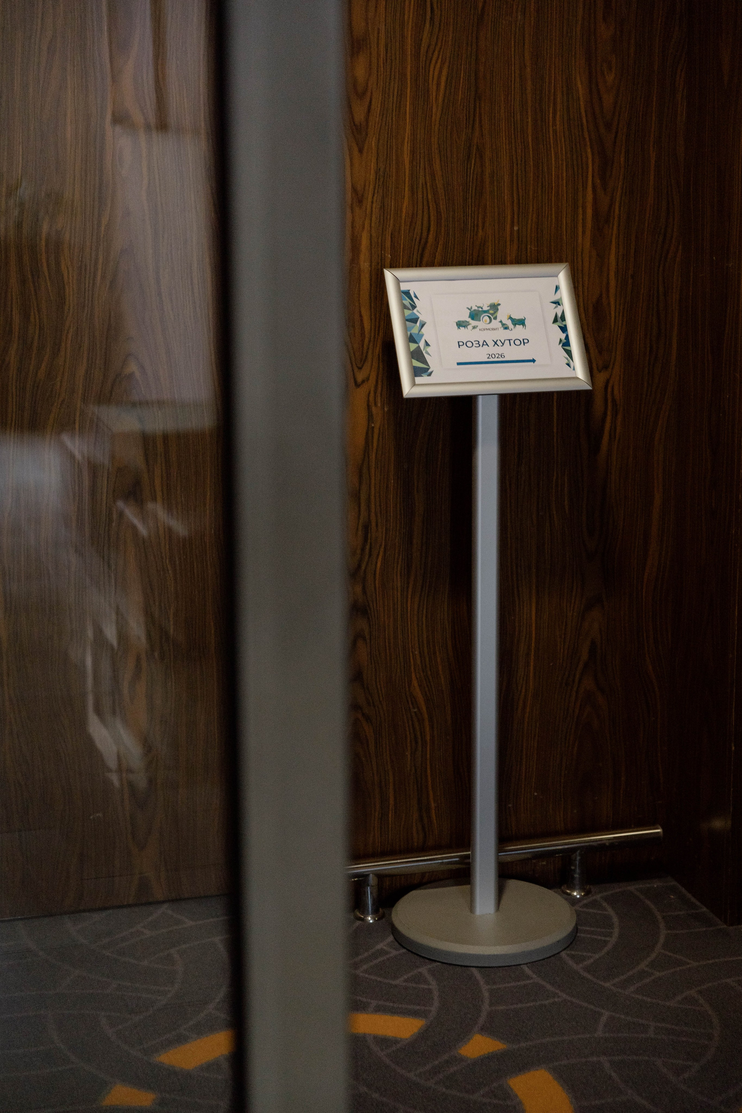 Конференция и ужи. Кормовит. Роза хутор. Фотограф Юсова Мария