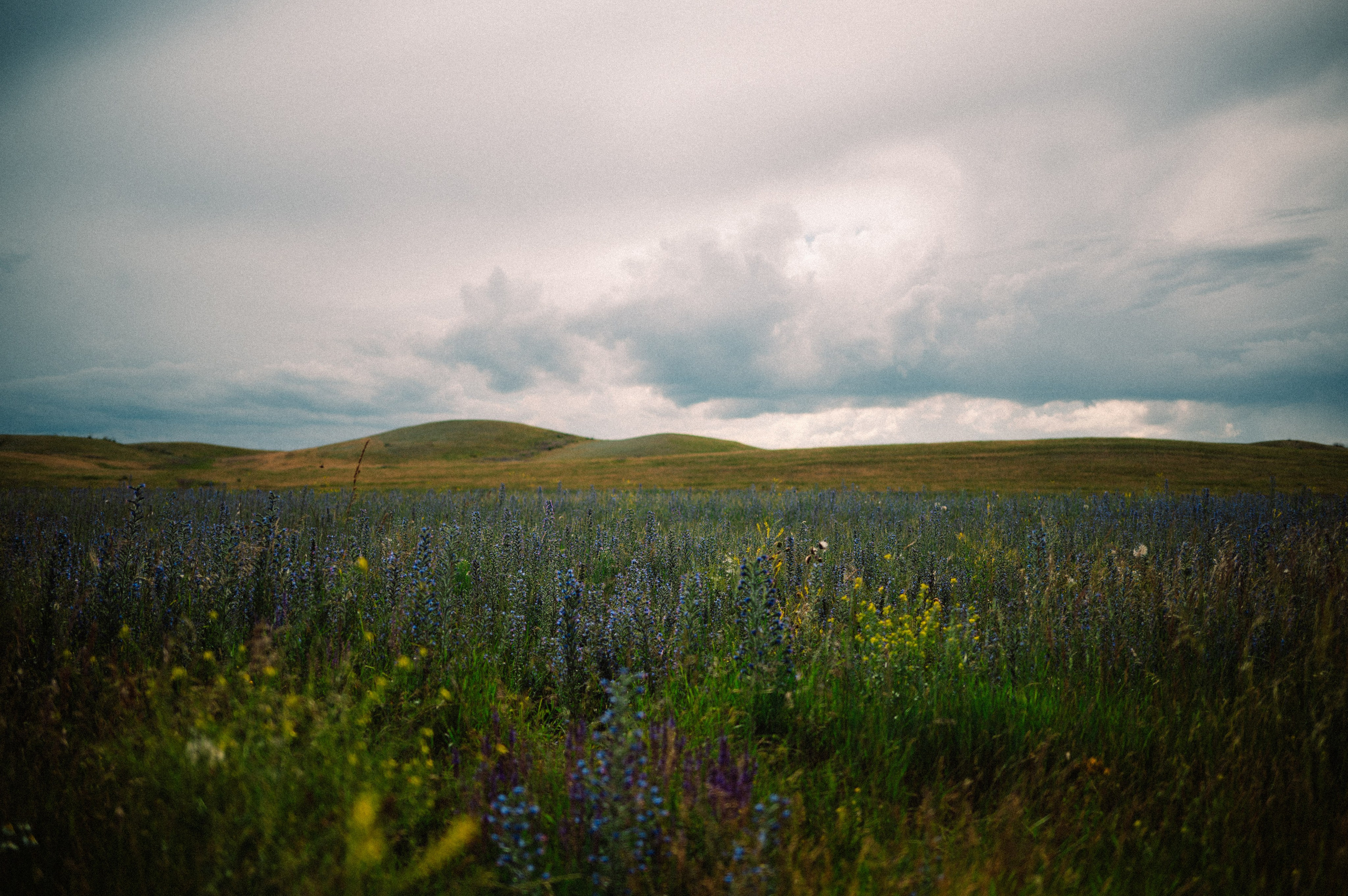 Чарын-Кольсай: лето 2024. Фотограф в Алматы — Дарья Фёдорова