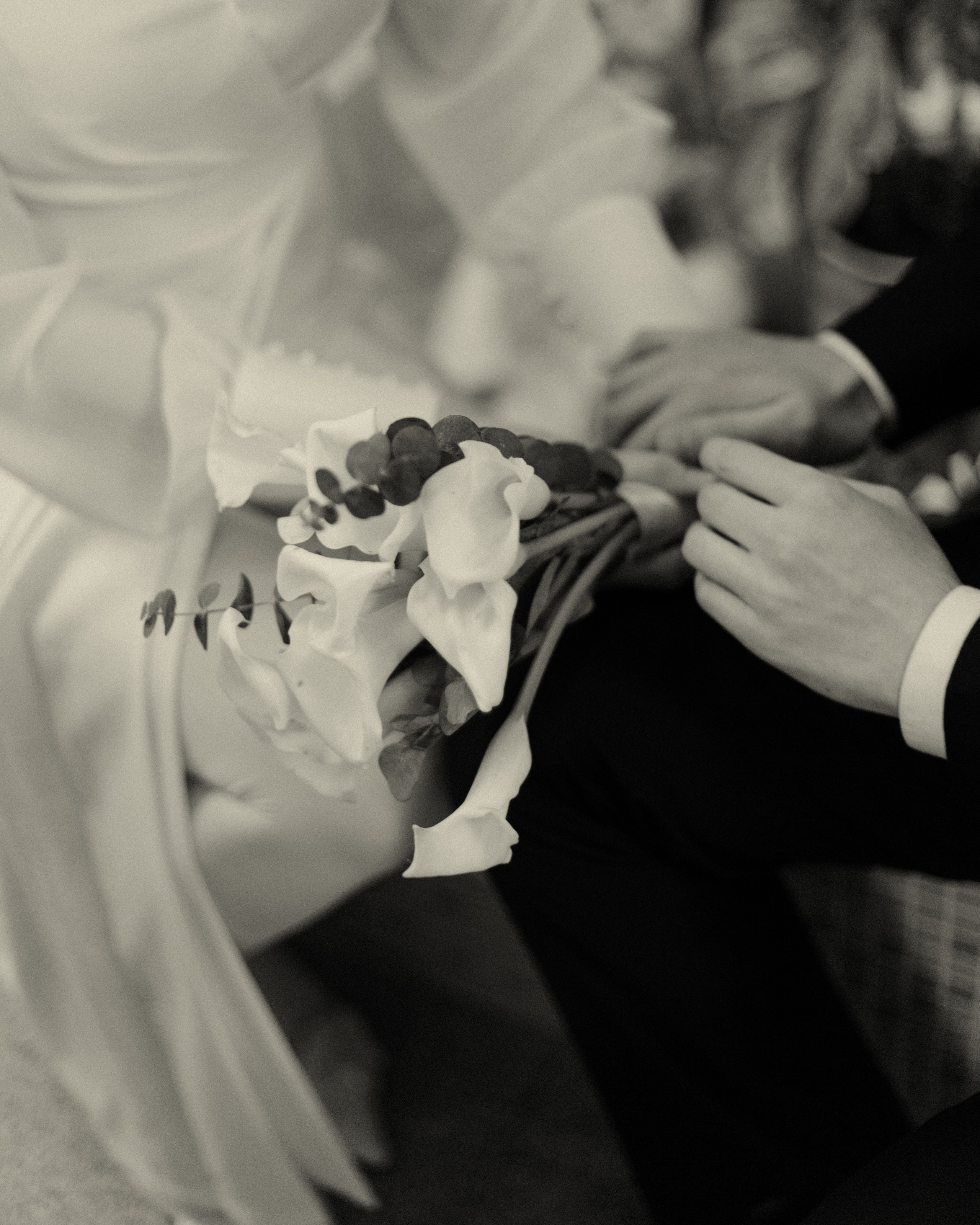 София и Илья. Фотограф в Москве — Евгения Прокопенко