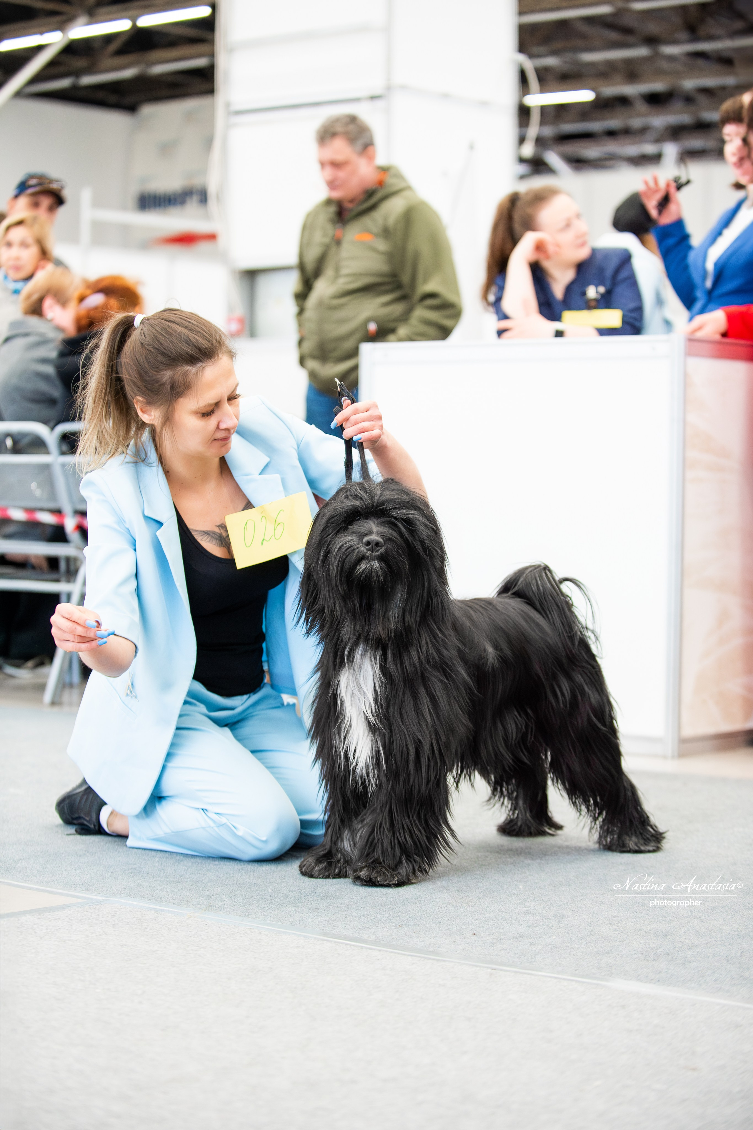 Выставки. Фотограф — Анималист