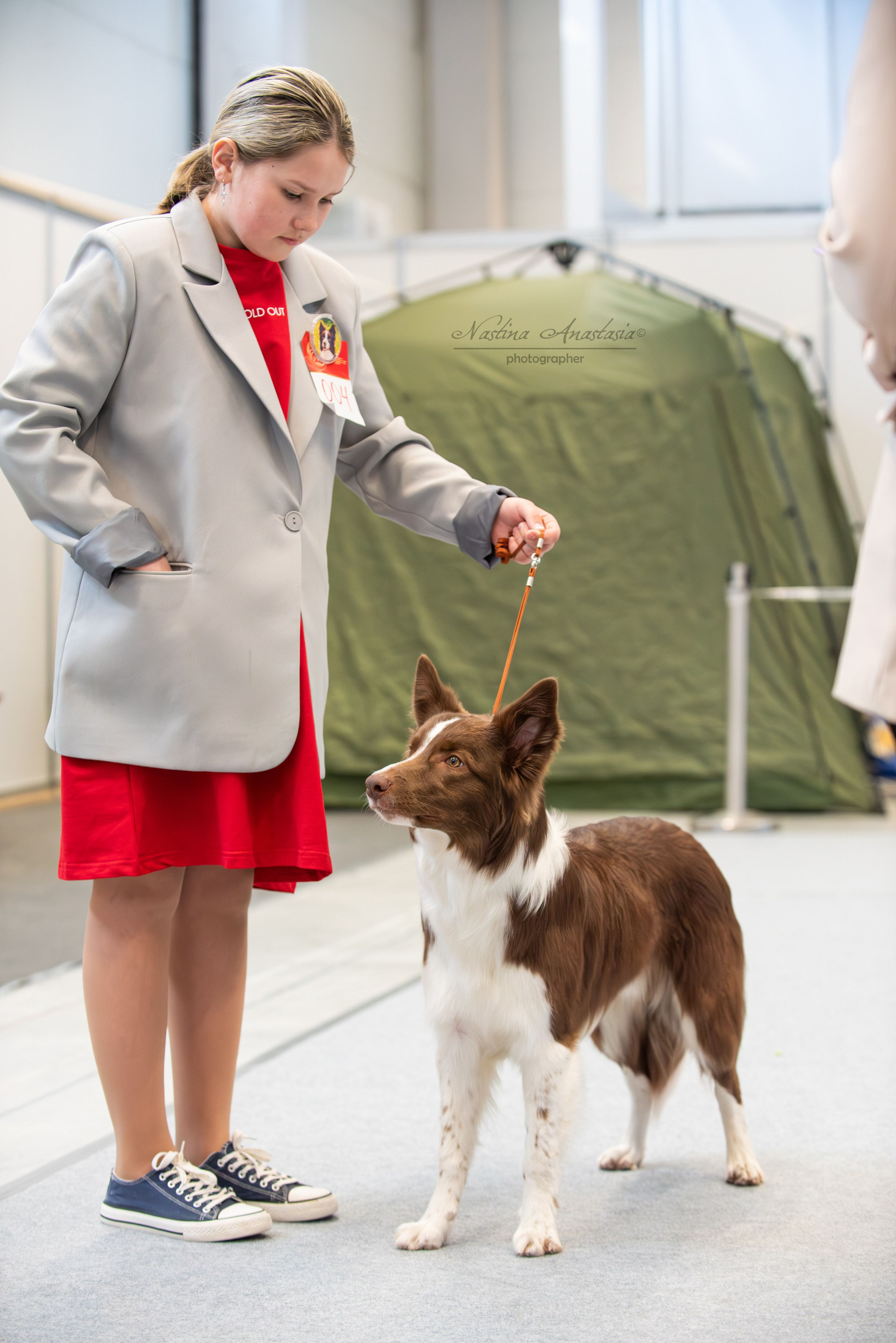 Выставки. Фотограф — Анималист