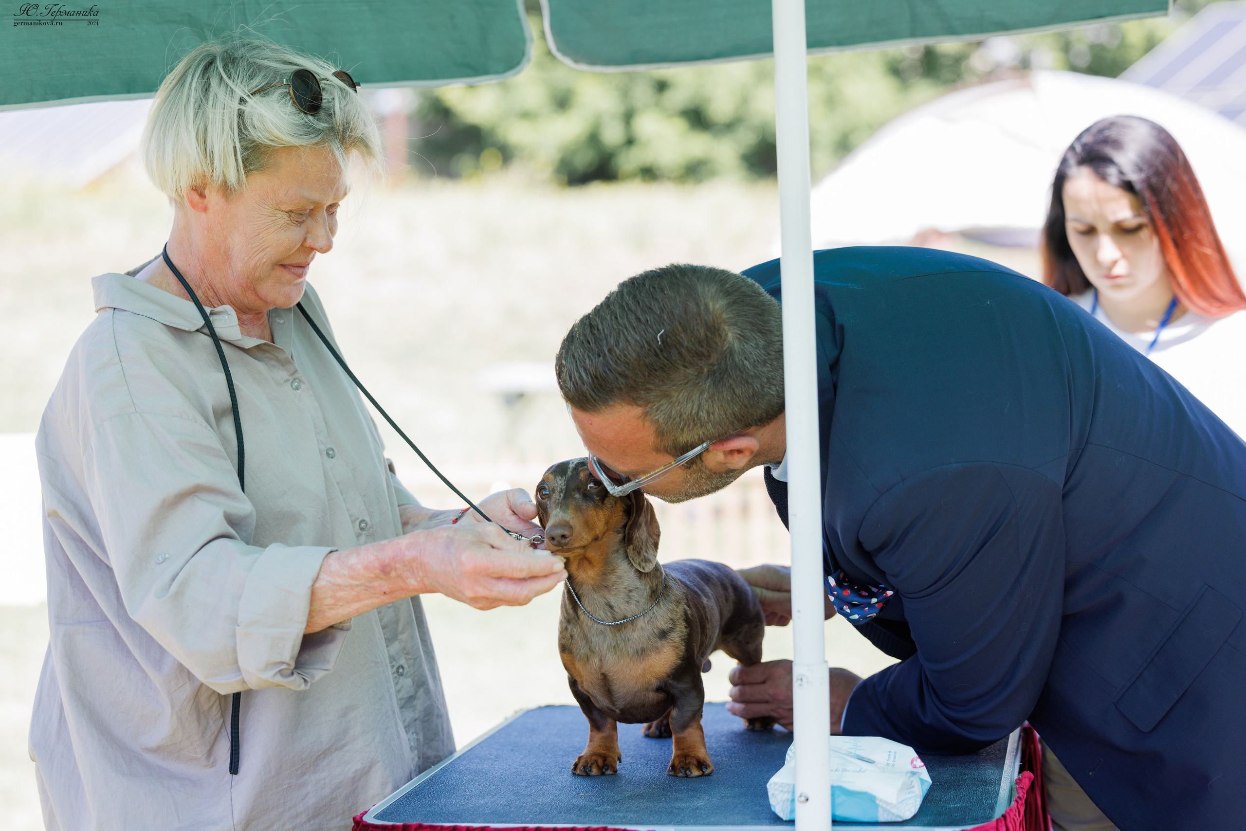 Ереван 3-5.06.2024. Фотограф-анималист Юлия Германика