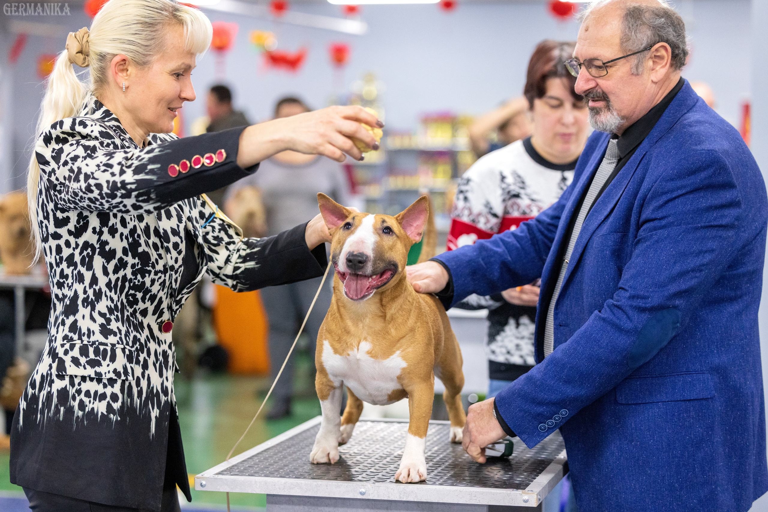 Крокус 10.02,Сфера 11.02.2024. Фотограф-анималист Юлия Германика