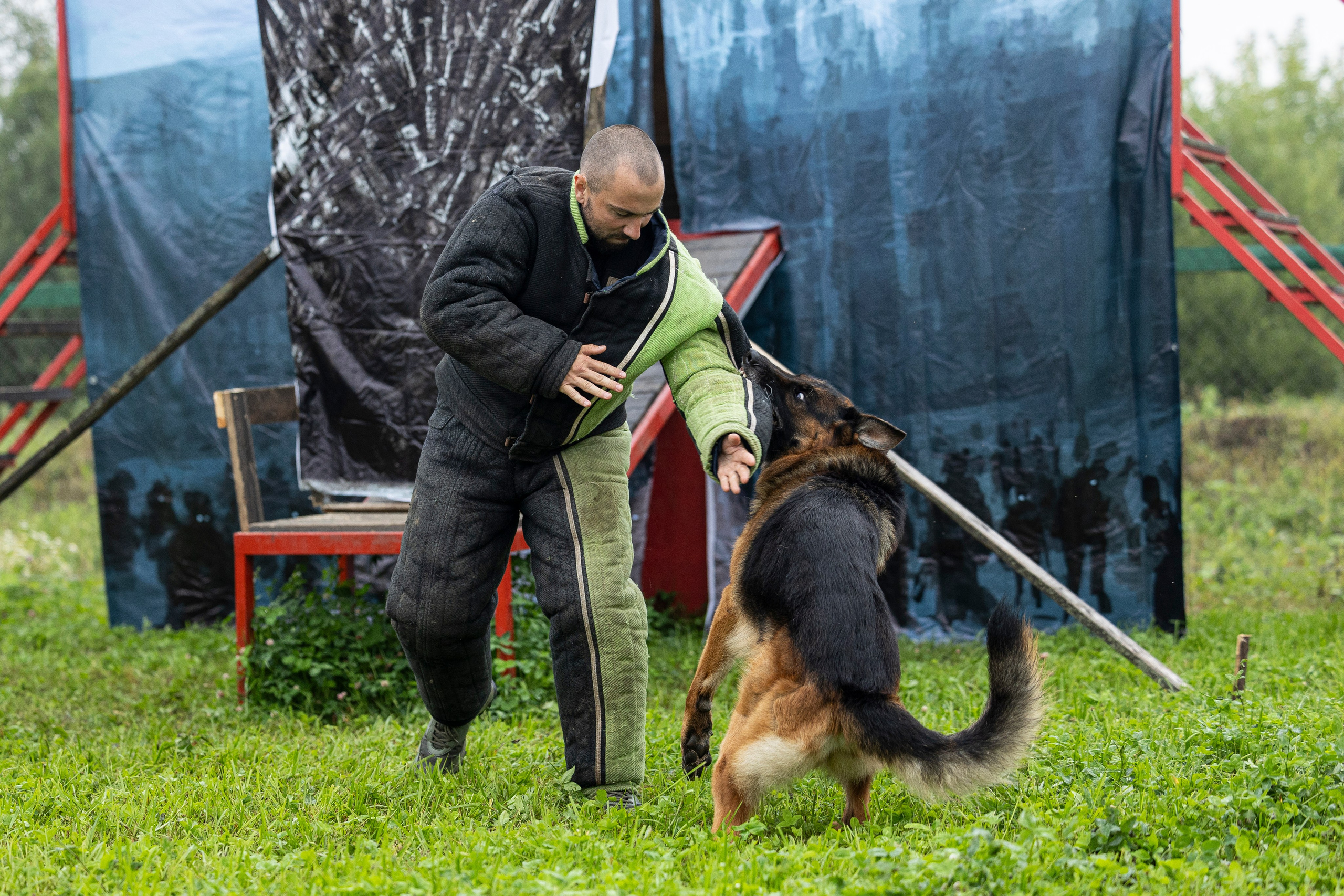 Соревнования по Мондьорингу г. Вологда 10-11.08.2024. Фотограф-анималист Анна Маринич