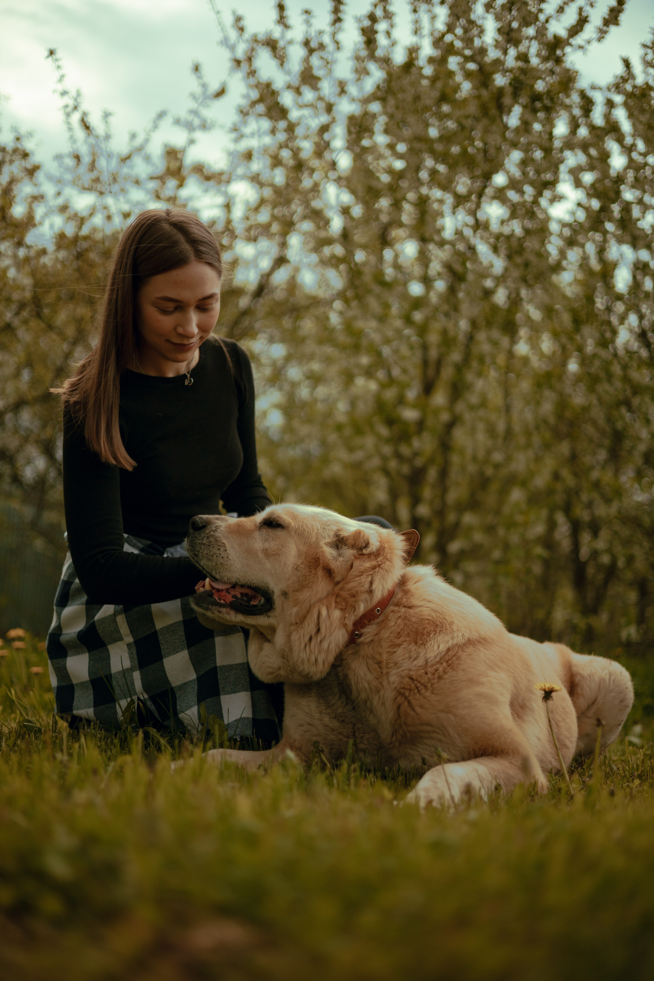 Юля и Ума. Фотограф — анималист •love-story•|Санкт-Петербург