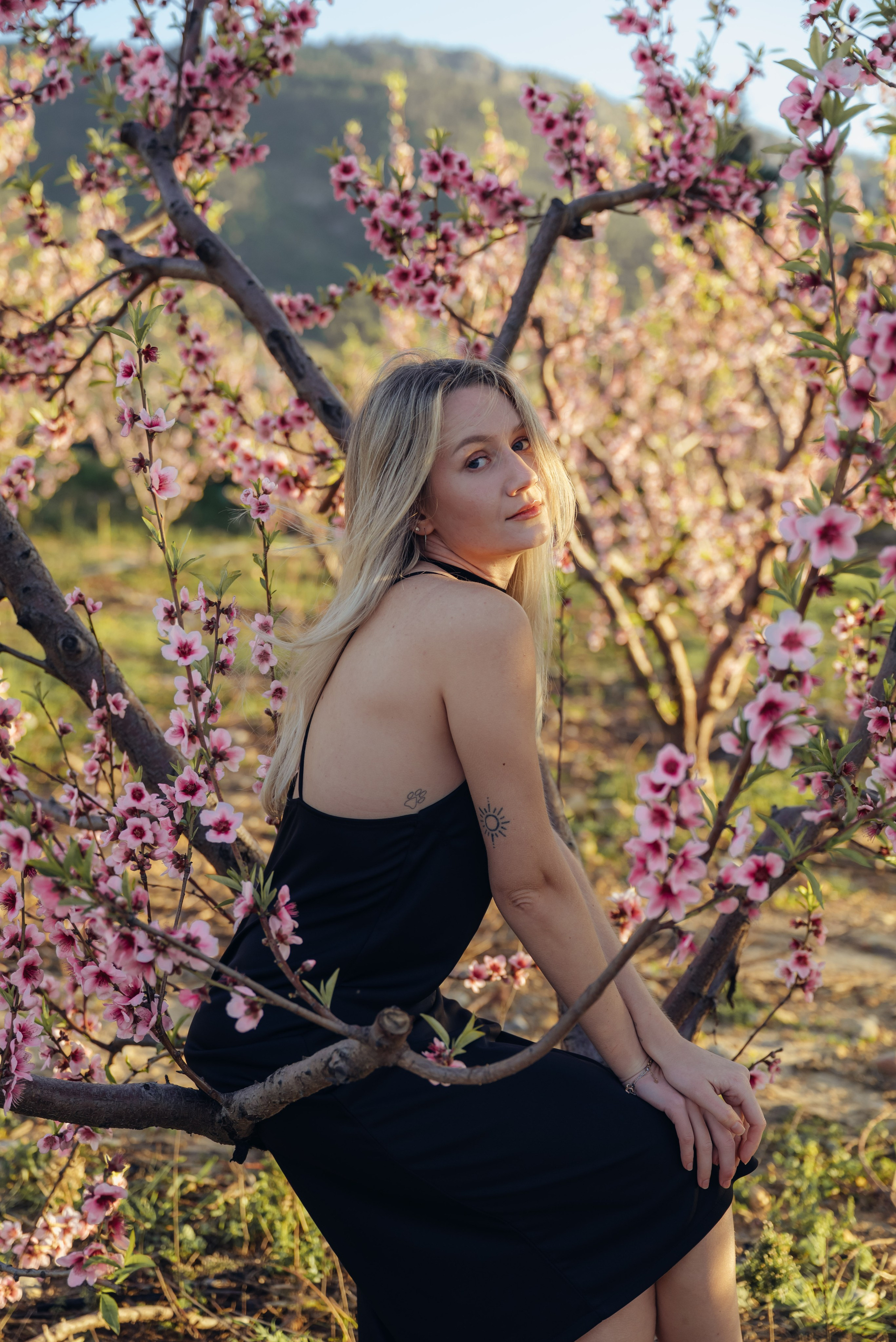 Цветущий миндаль. Анна Лобанова | фотограф