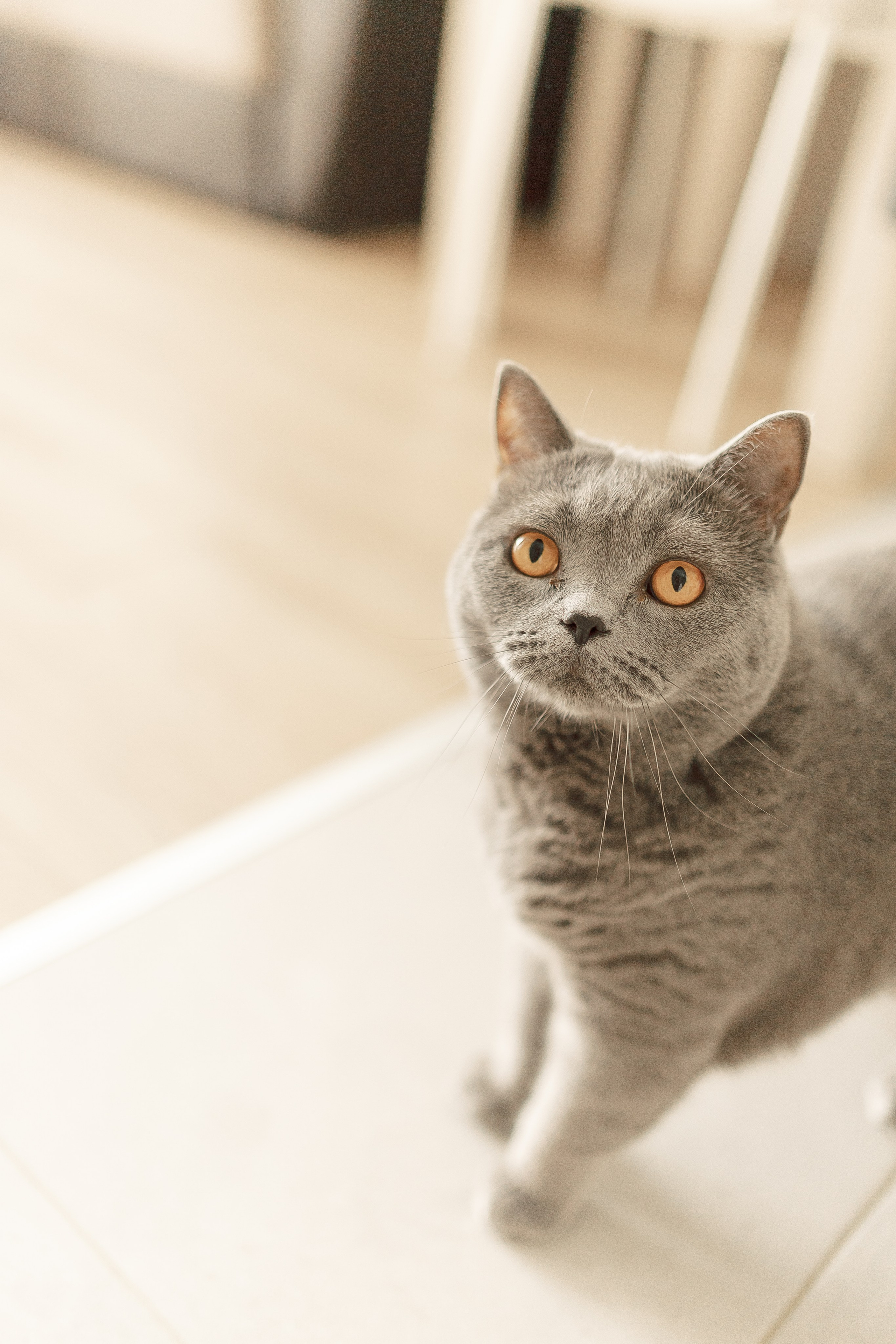 Первый месяц. Семейный и свадебный фотограф в Москве Анна Пожарская