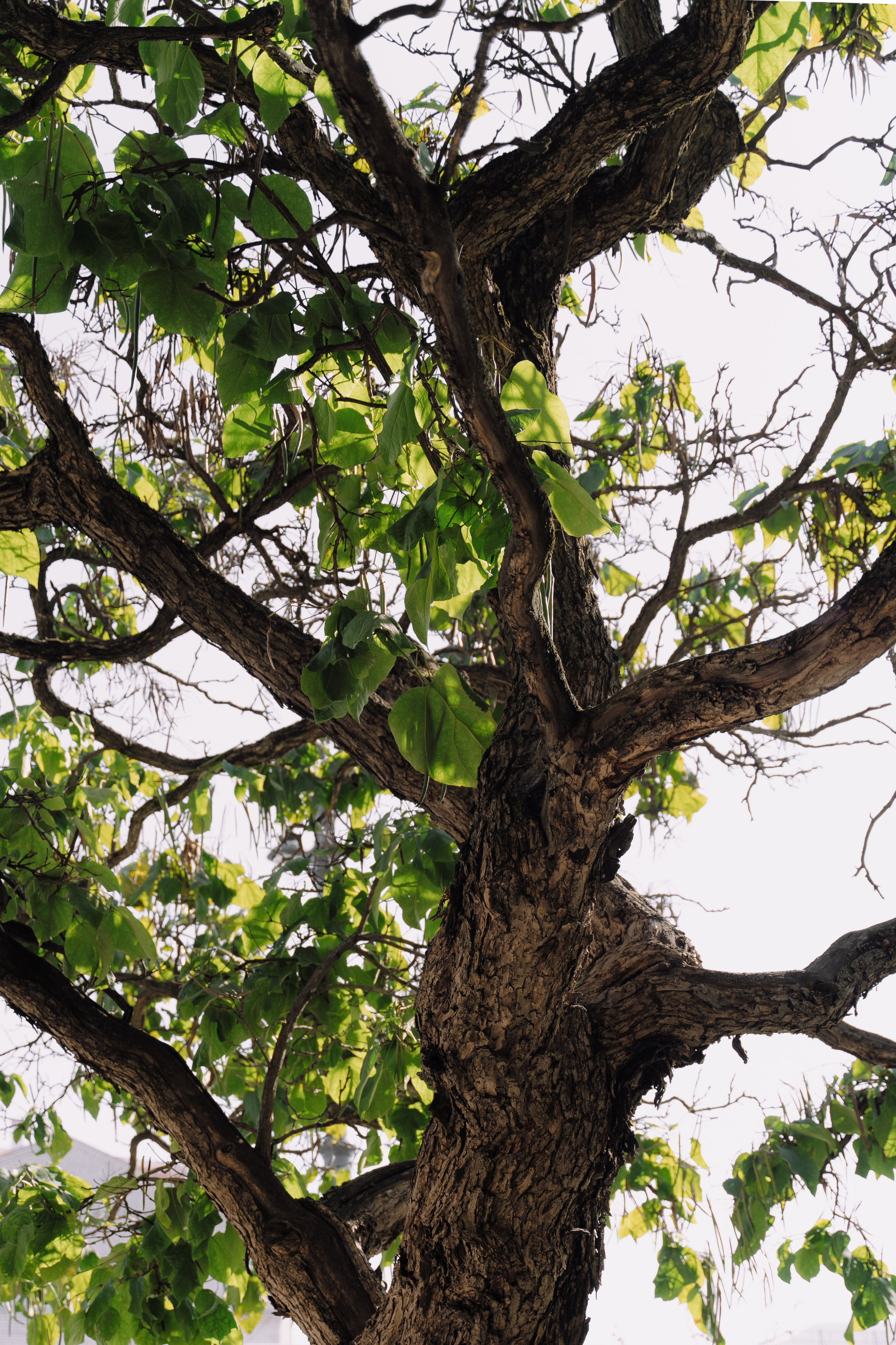 V&K. Свадебный и портретный фотограф Марина Юшина