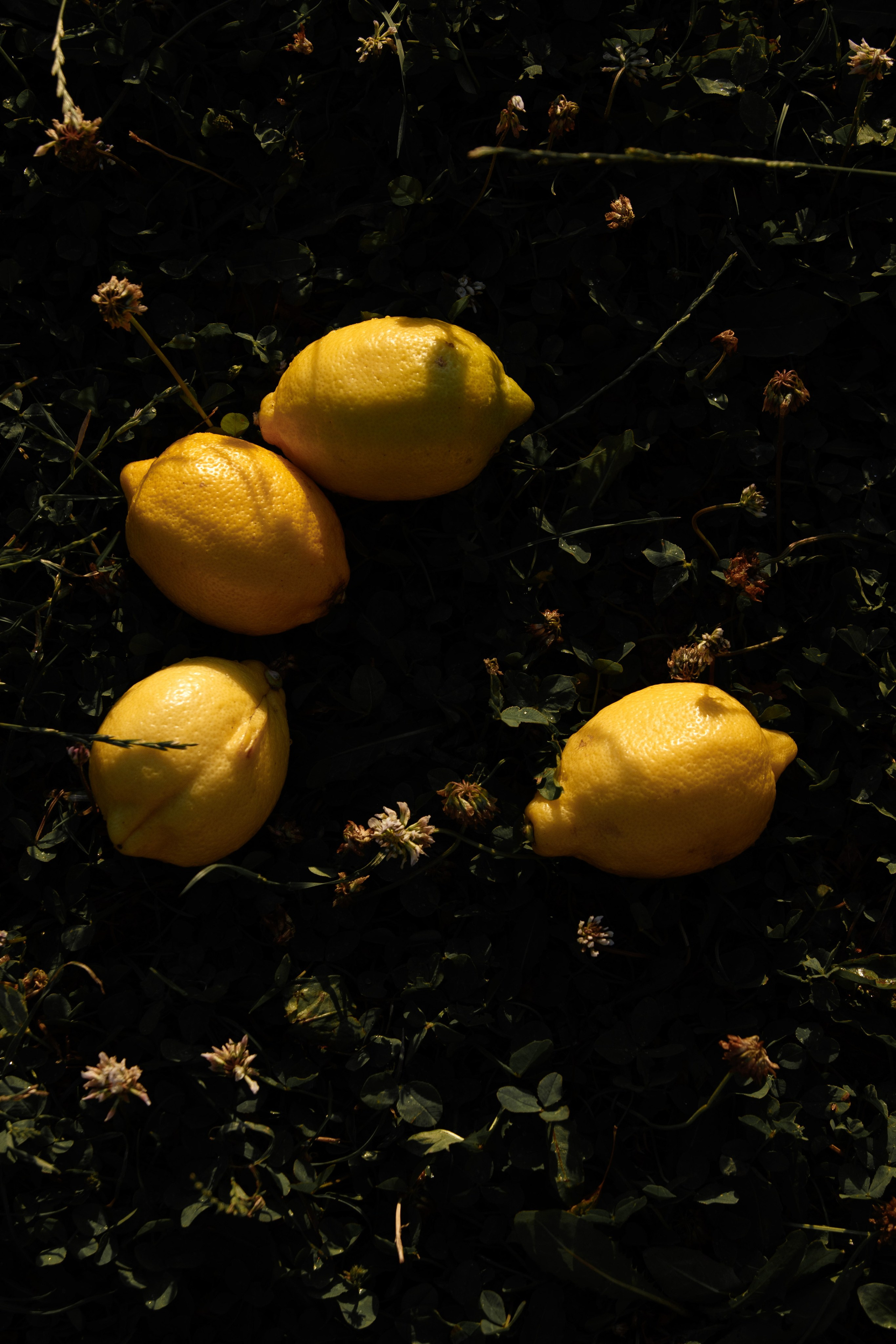 Юлия. Фотограф Анапа, Новороссийск, Краснодар