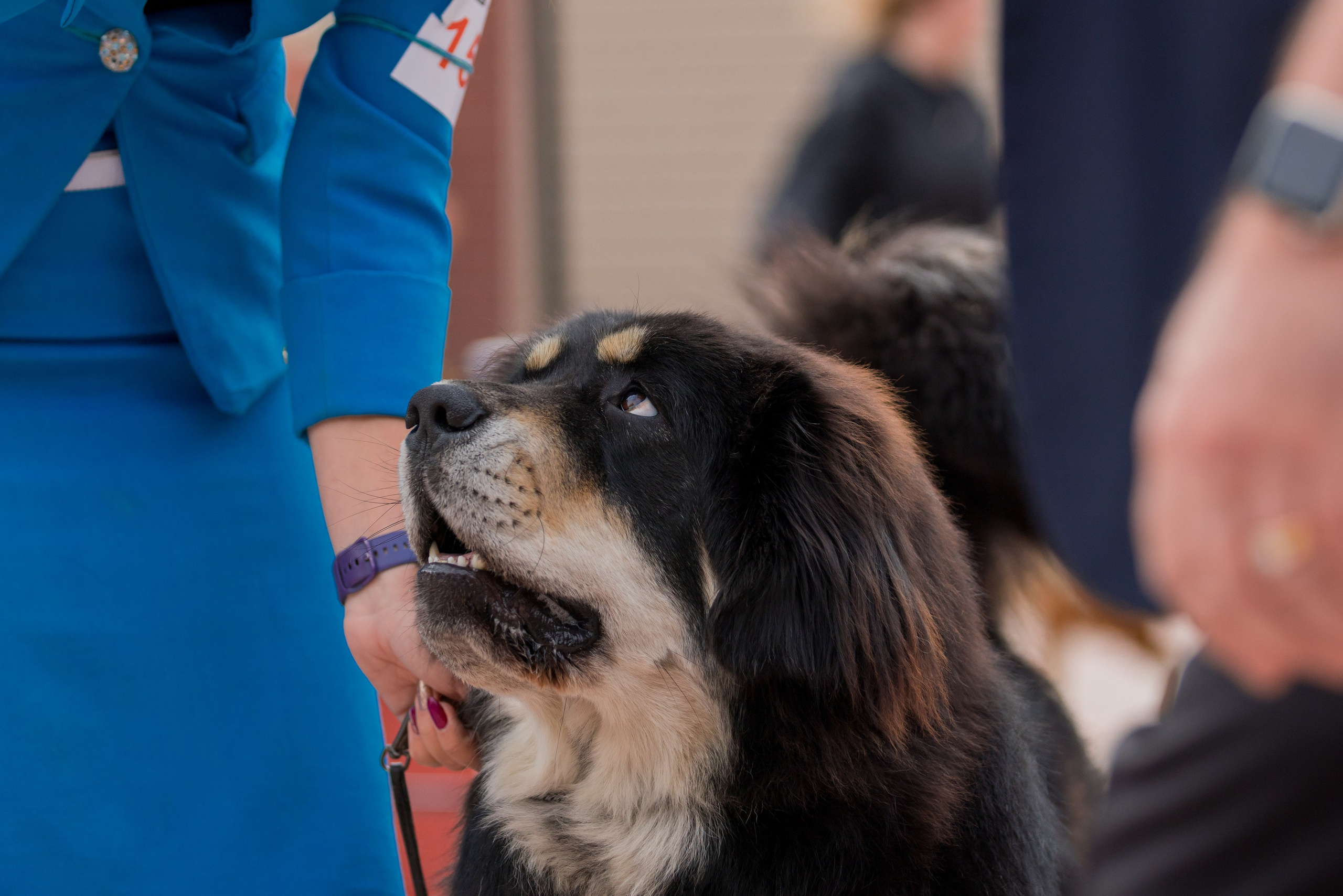 Ташкент 6-8.10.2023 + Алматы 14-15.10.2023. Фотограф-анималист Юлия Германика