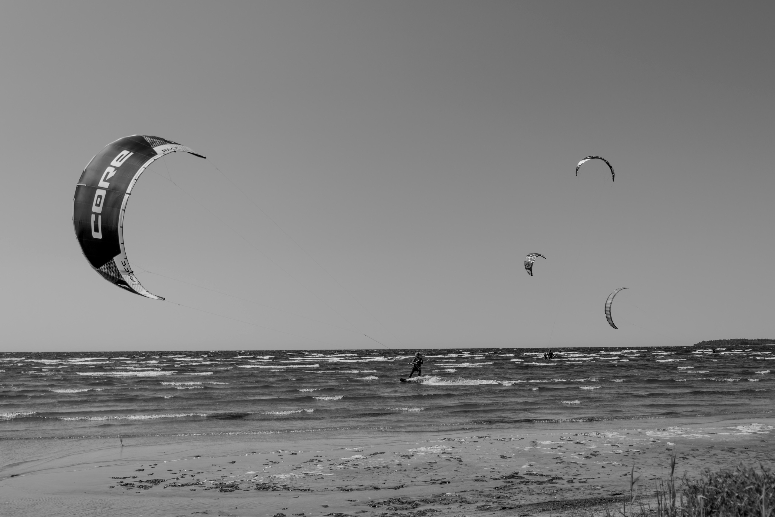 Из наблюдений. Плак или Квак