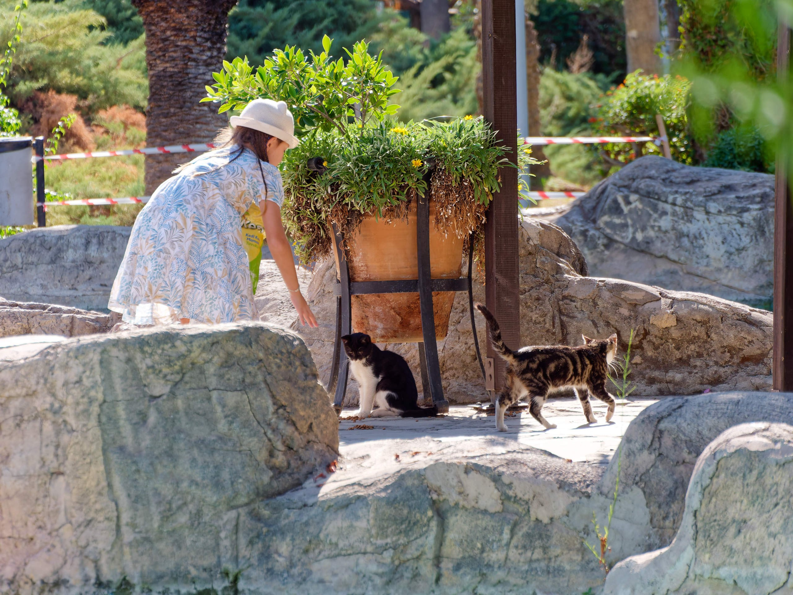 Алания 2025, город, стрит-фото. Избранные фотографии