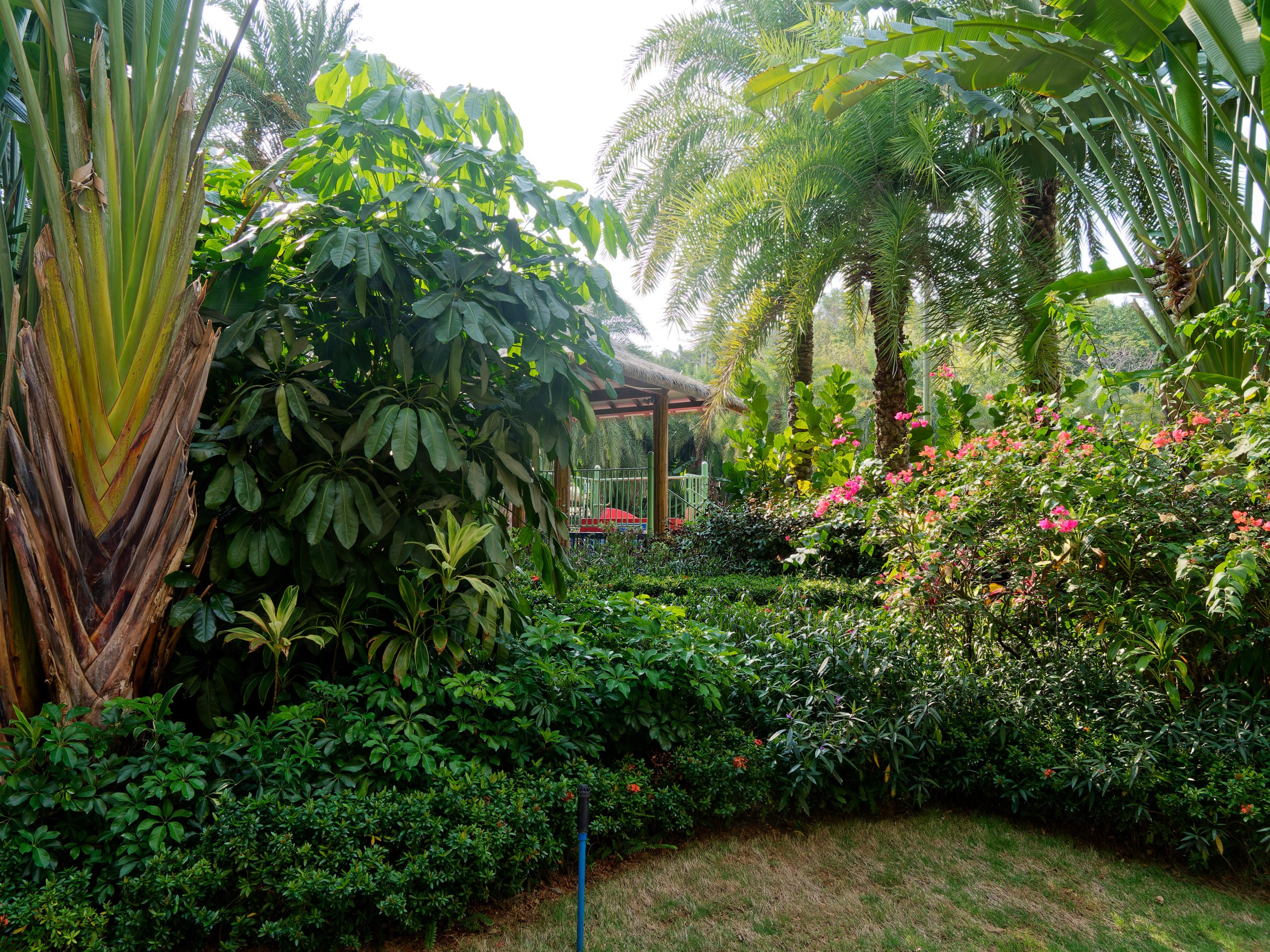 Хайнань 2026, Горячий источник DoubleTree by Hilton Lingshui. Фотопрогулки по Миру