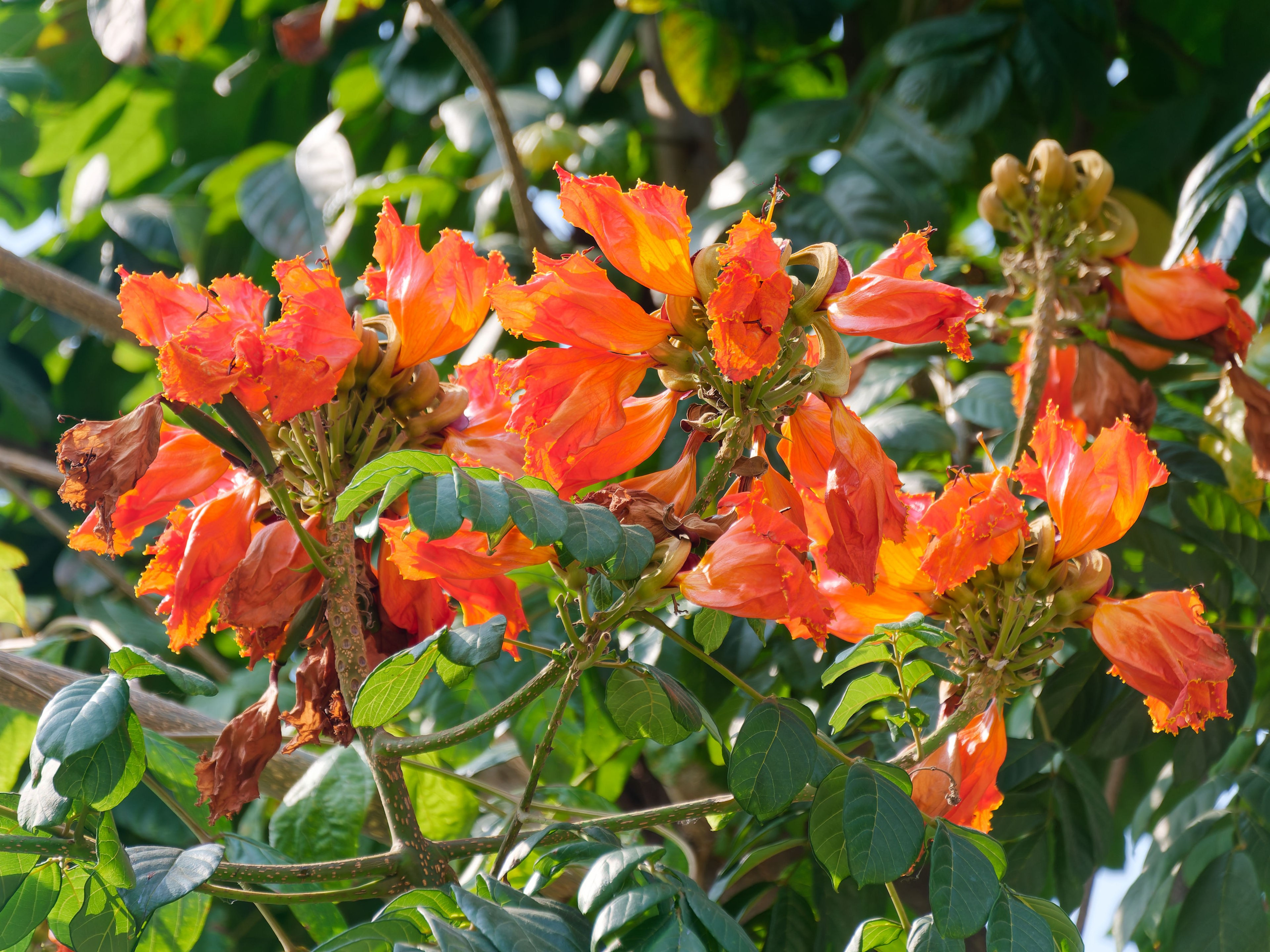 Хайнань 2026, Санья, Торговый центр «Joy City». Фотопрогулки по Миру