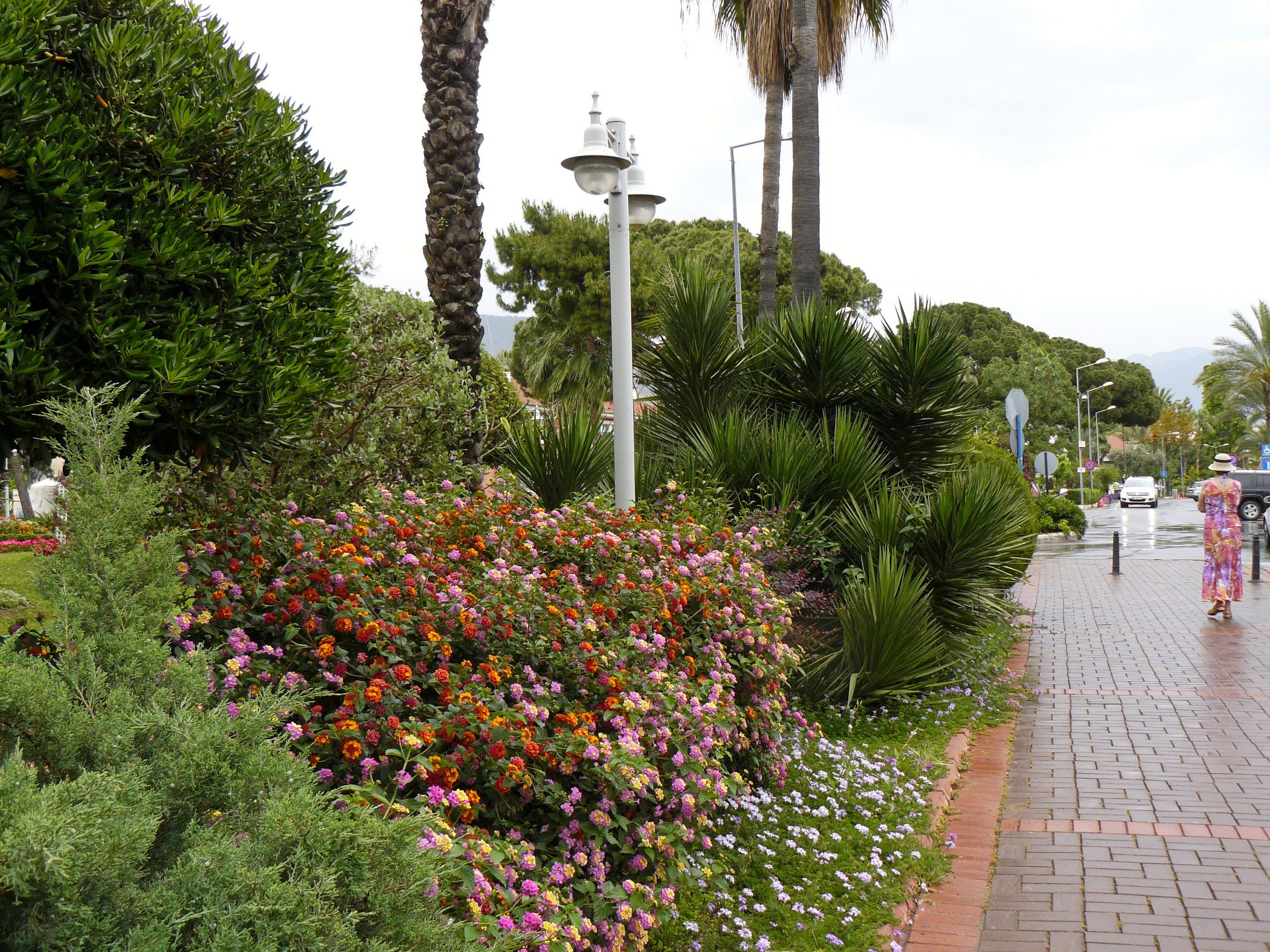 Алания 2014. Фотопрогулки по Миру