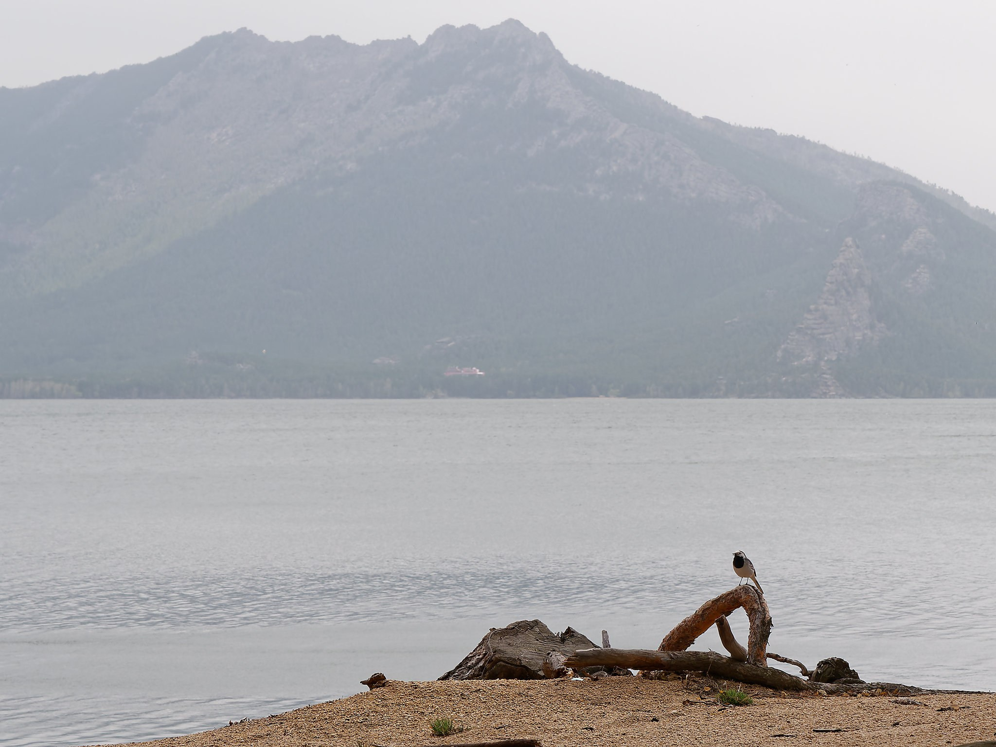 Боровое 2022 (из архива). Избранные фотографии