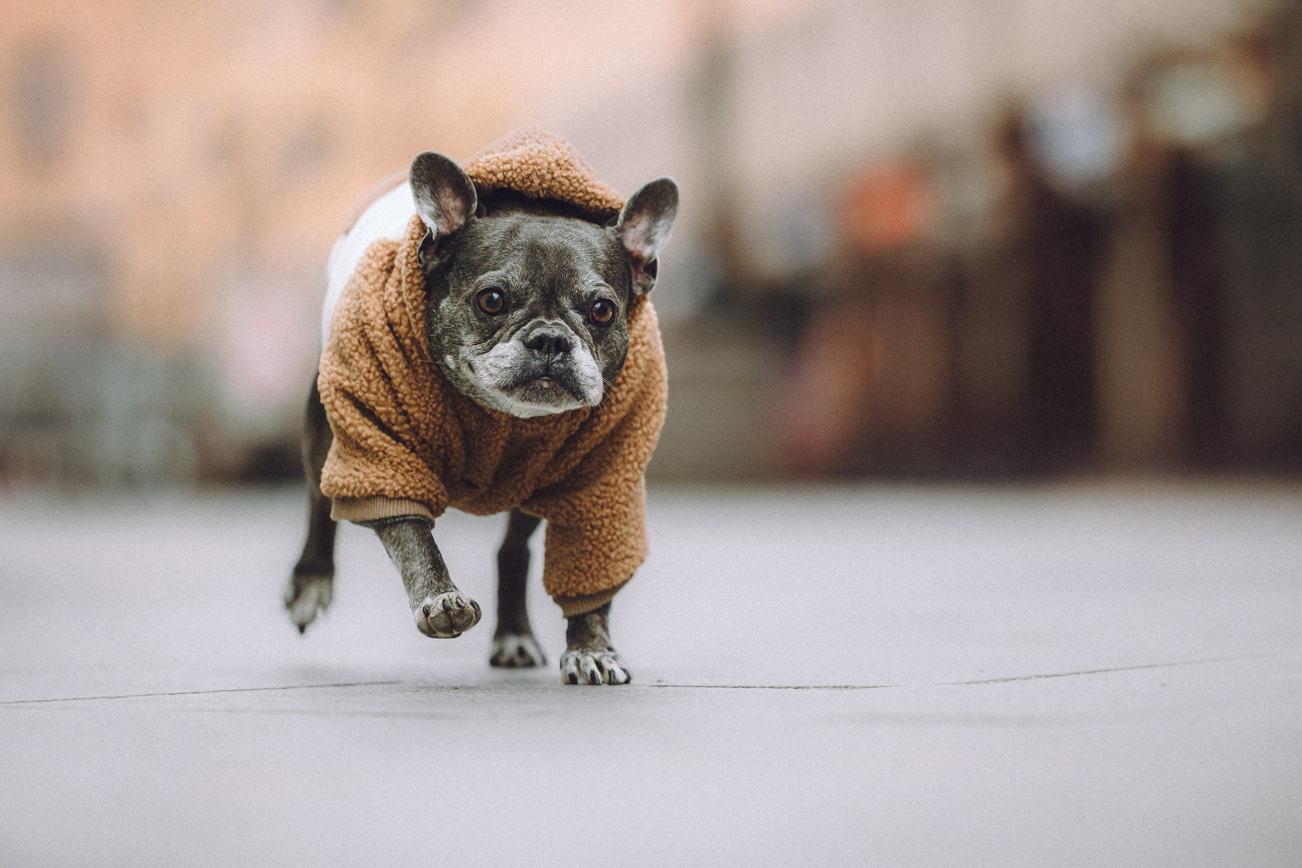 Юля, Вова и Моня