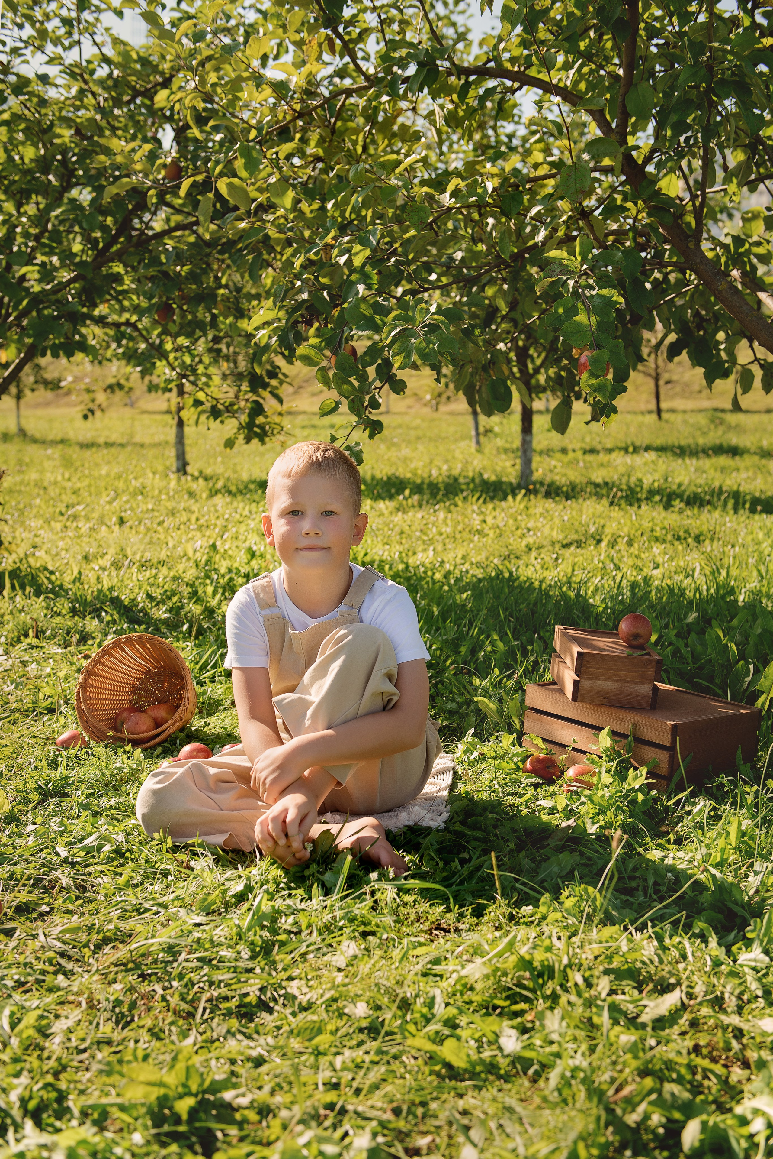 Яблоневый сад. Детский фотограф в Долгопрудном и Москве