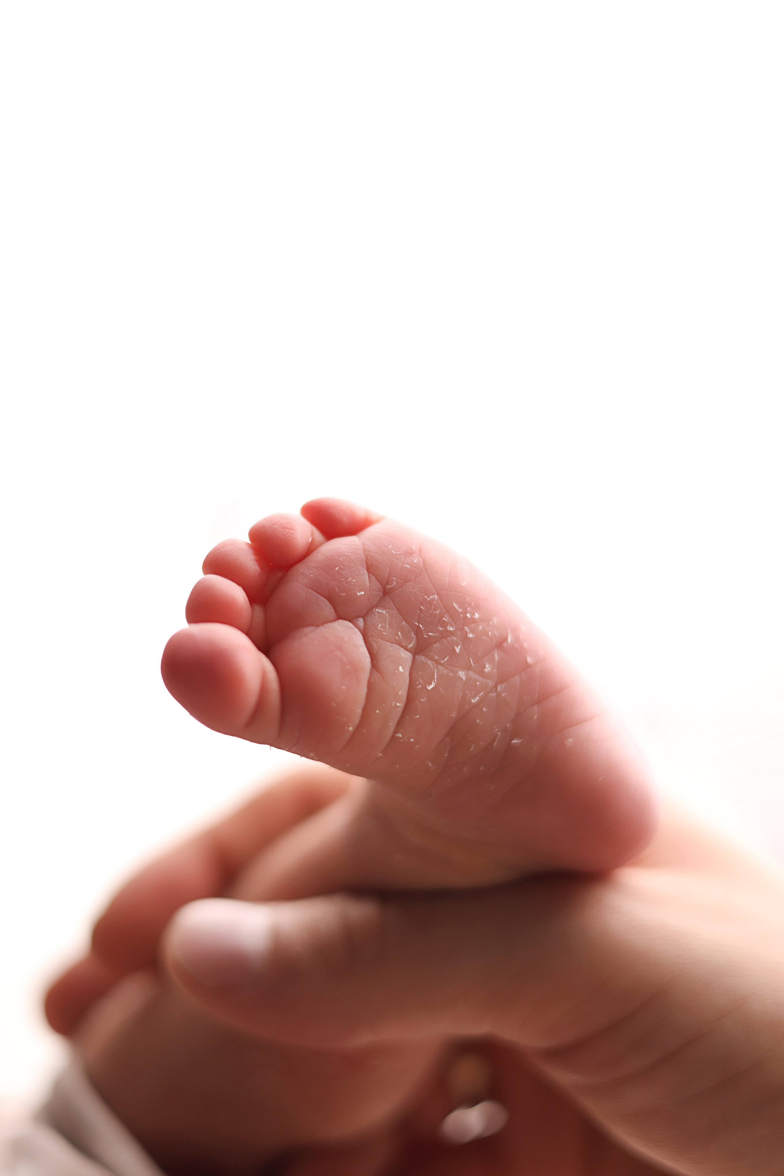 Ньюборн съемка Мишеньки. Ньюборн фотограф в Бутово Столярова Светлана. Фотограф новорожденных Москва. Ньюборн фотограф Москва