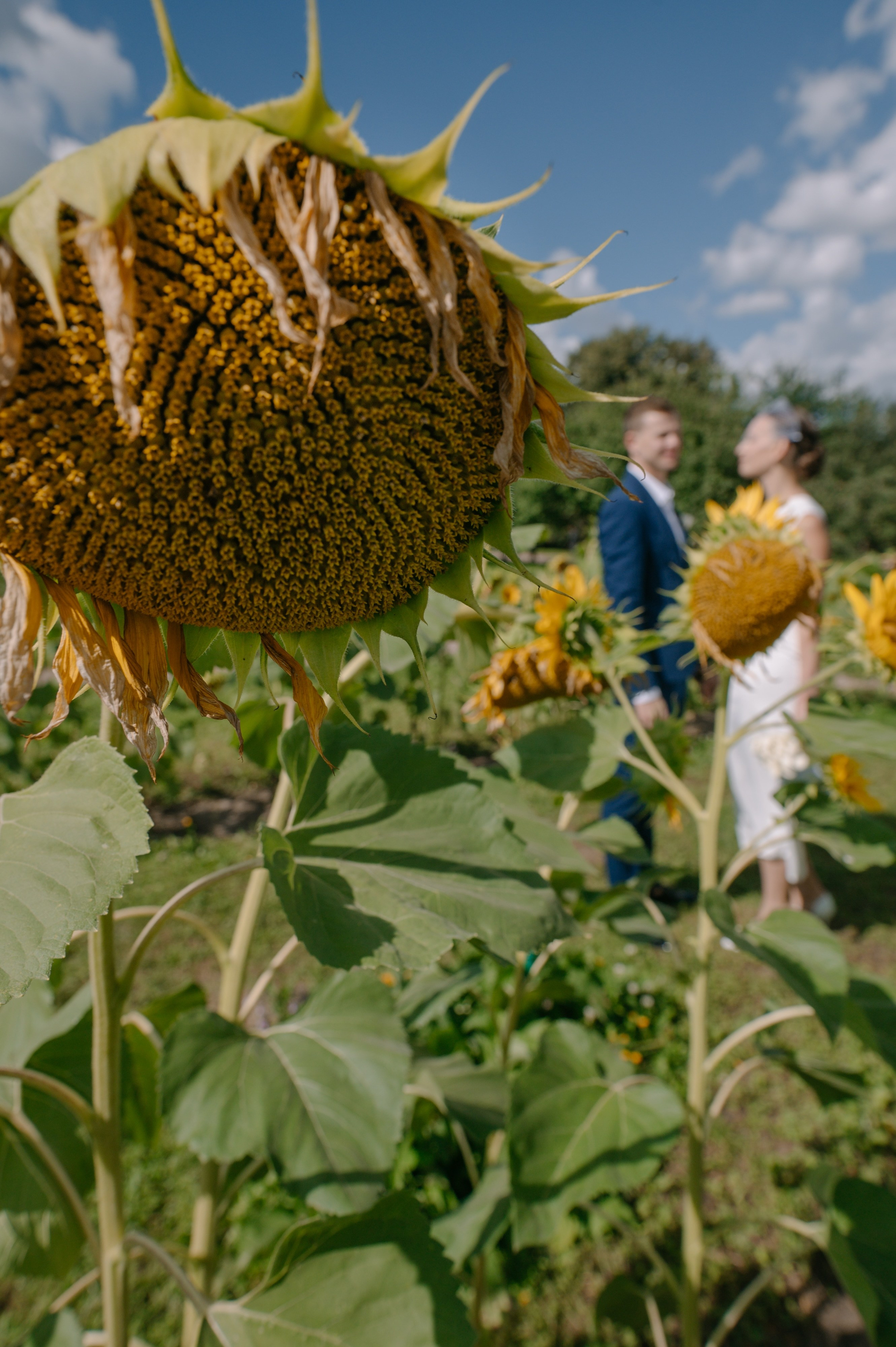 Летнее Коломенское. Репортажный фотограф в Москве и по всему миру Степанова Юлия