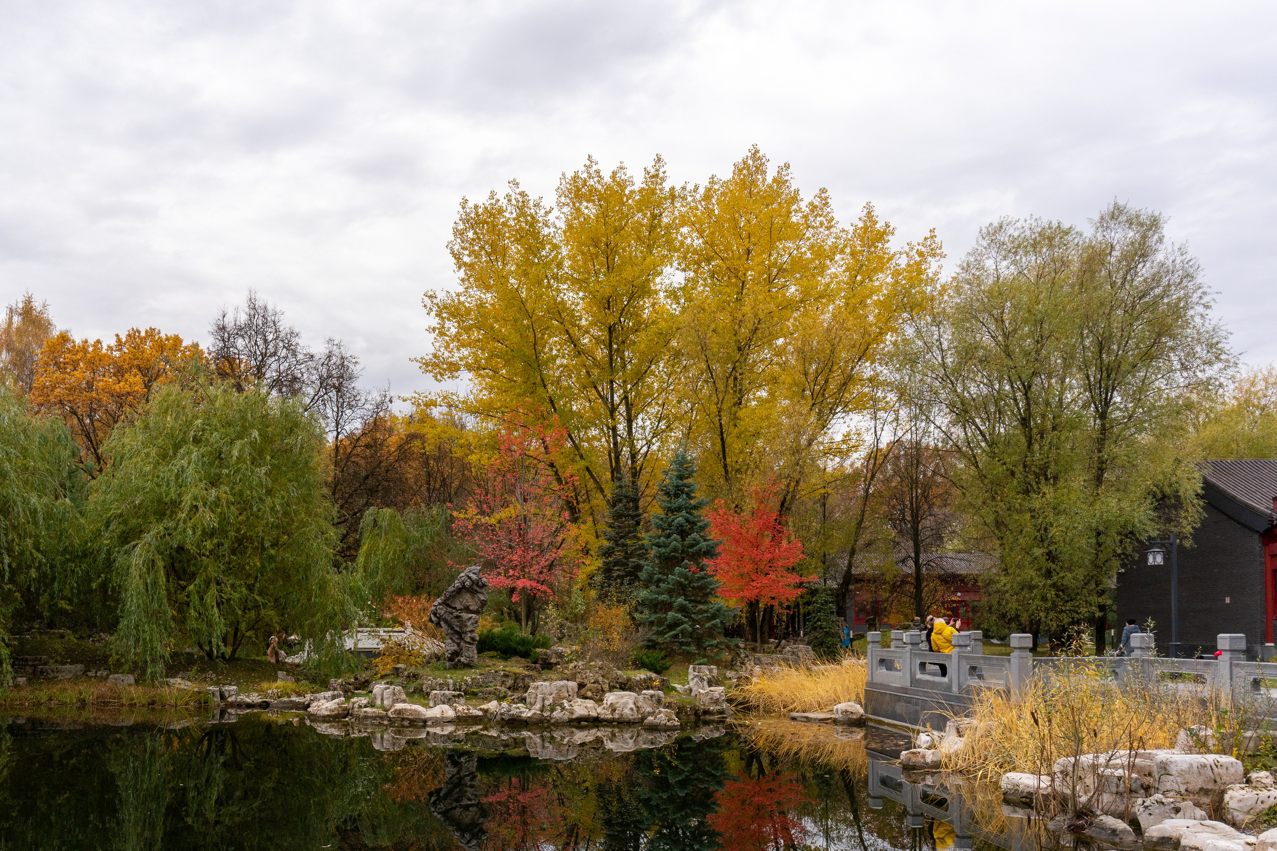 Осень, autumn, парк, деревья, лист, красный, желтый, зеленый. Авторские фотографии Чугунова Николая