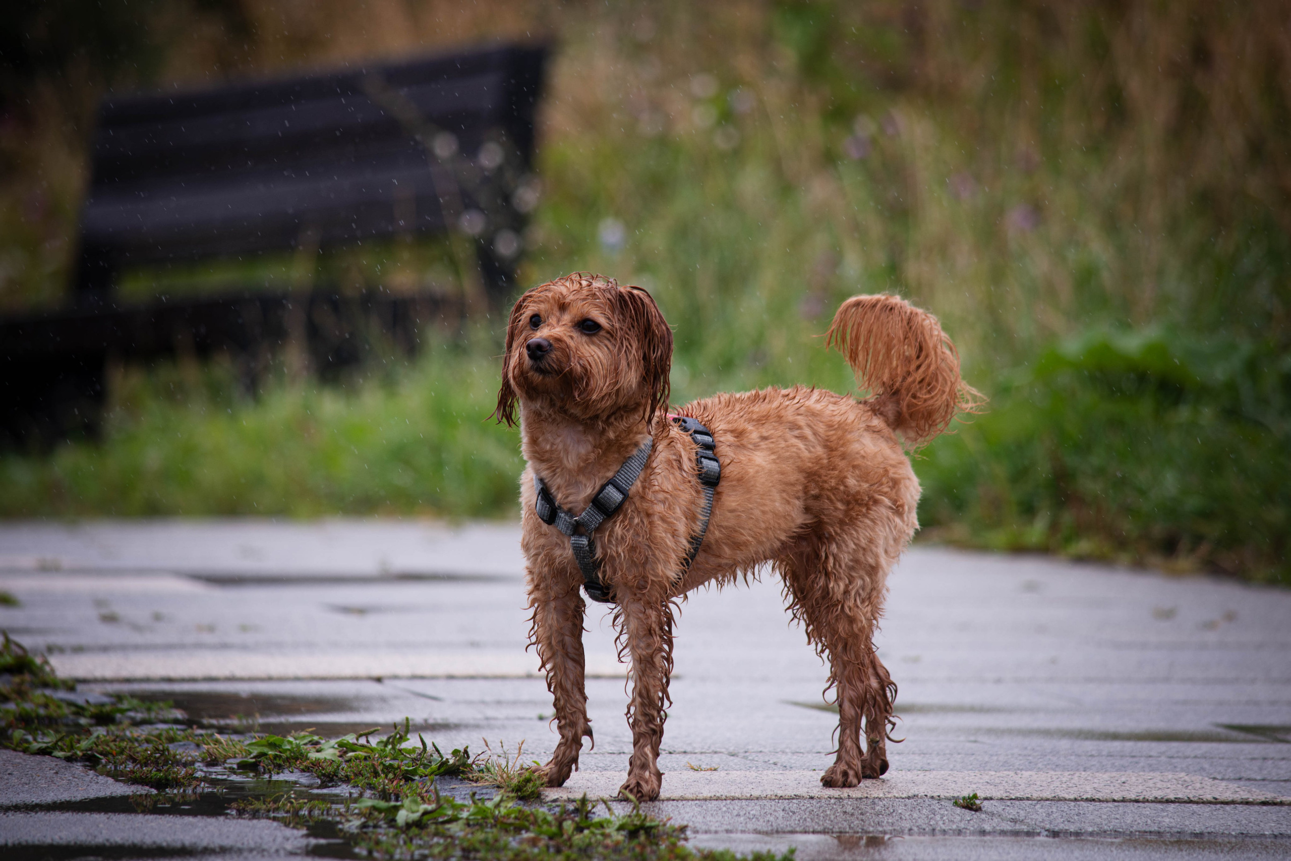 Прогулка в парке Митино. Фотограф Светлана Блинова, Москва и Московская область