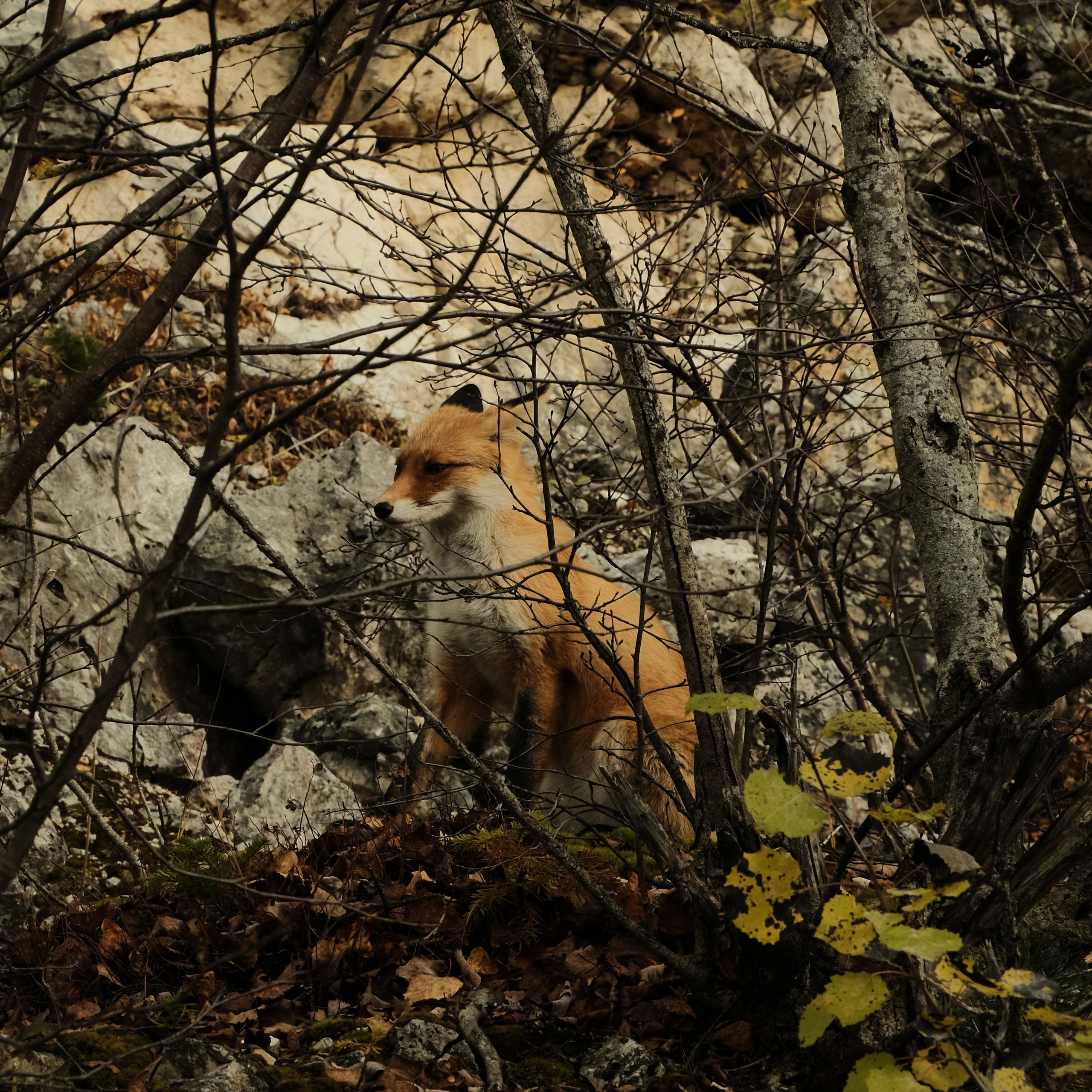 Arkhyz. Creative travel photographer — Berg Daria