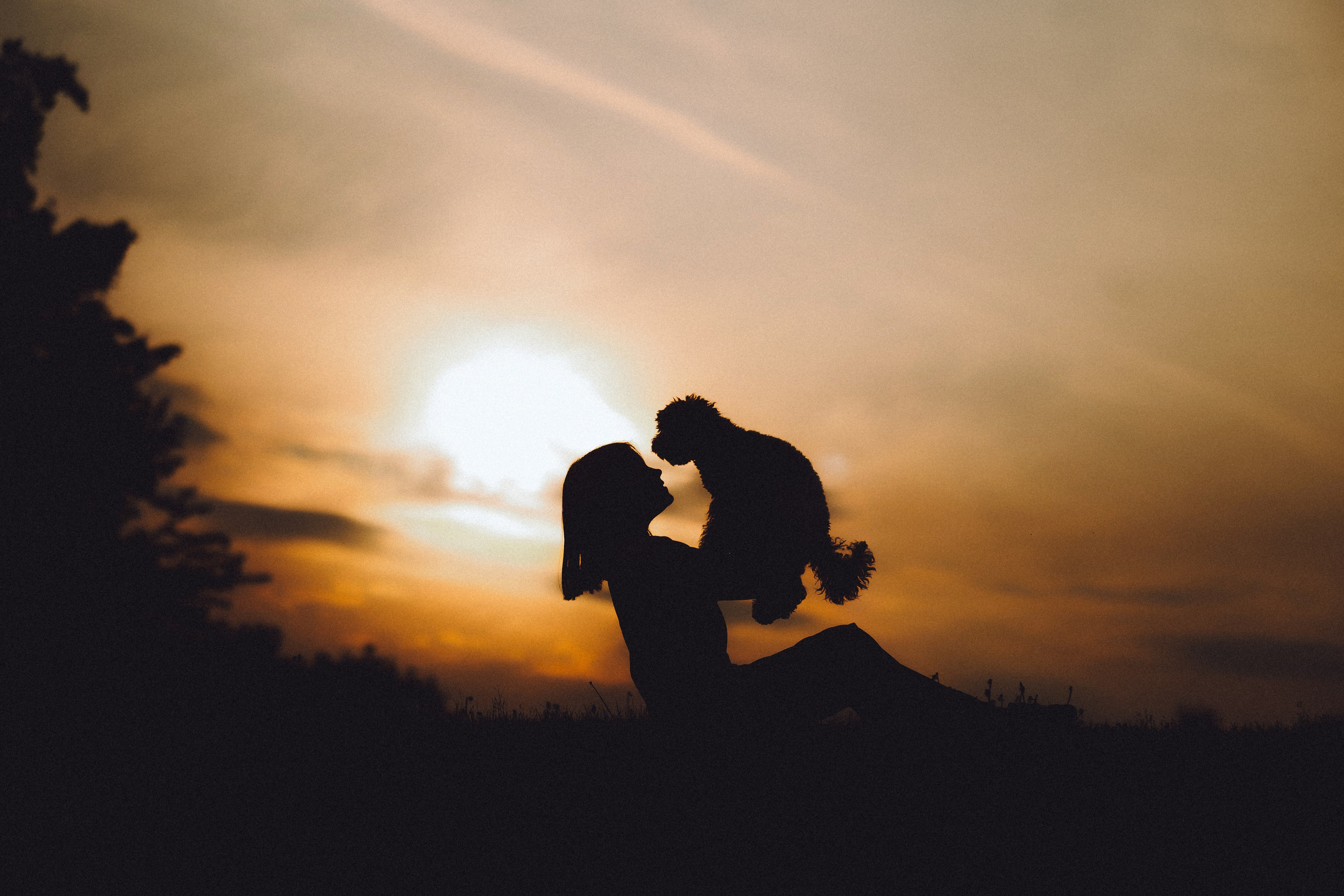 Фред и его семья